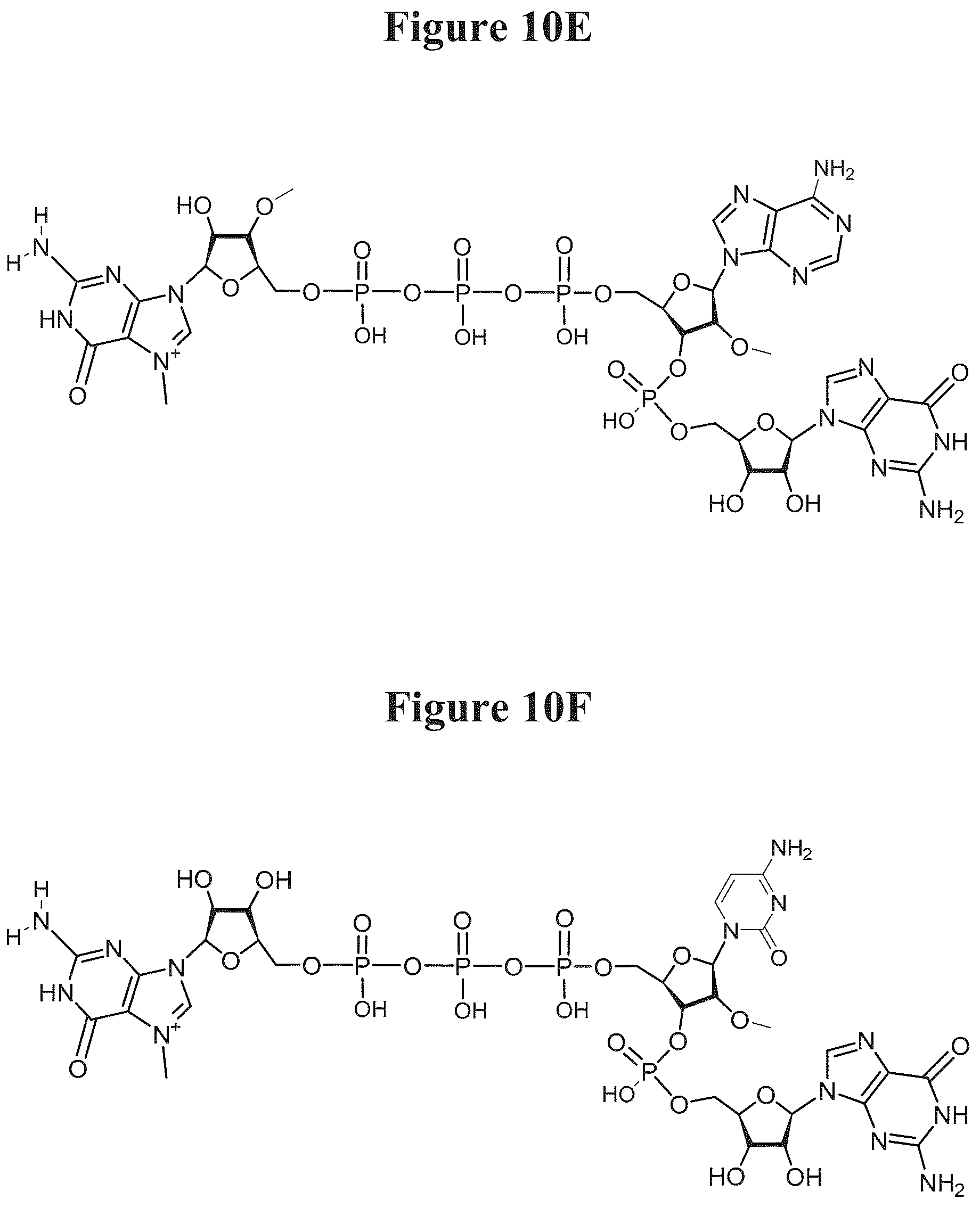 Patent US12103944 Figure 8 – Compositions and methods for synthesizing 5′-capped RNAs