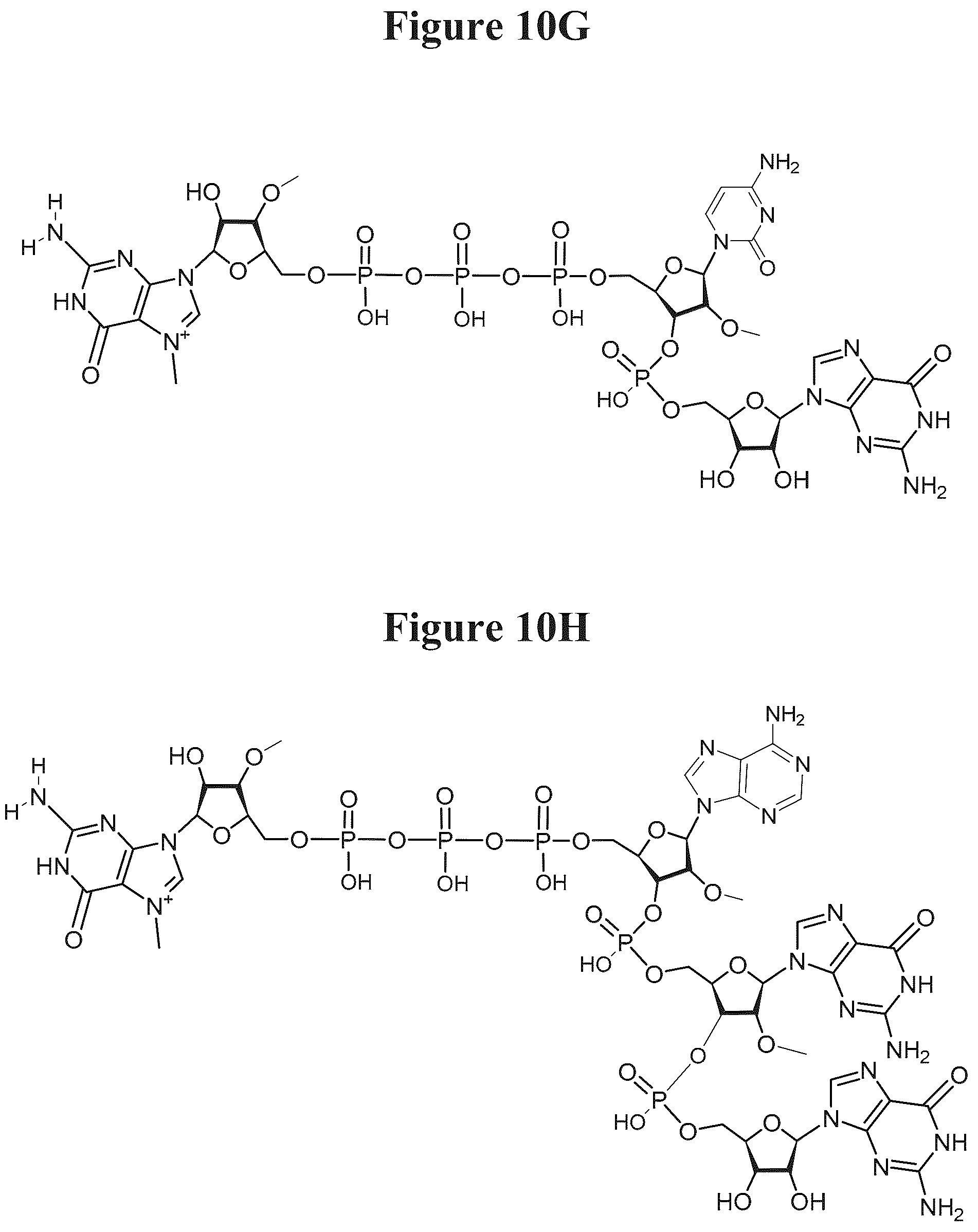 Patent US12103944 Figure 9 – Compositions and methods for synthesizing 5′-capped RNAs