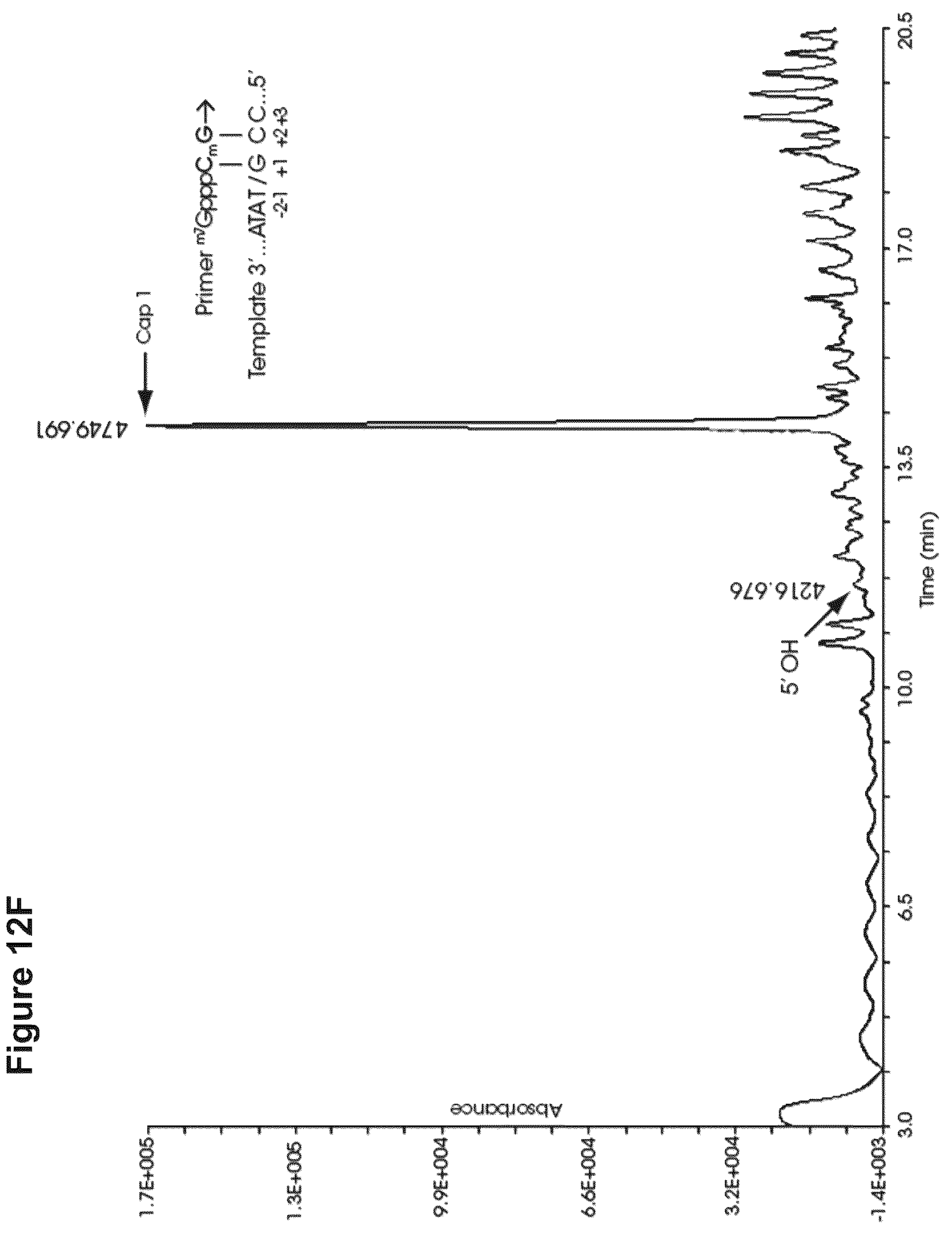 Patent US12103944 Figure 16 – Compositions and methods for synthesizing 5′-capped RNAs