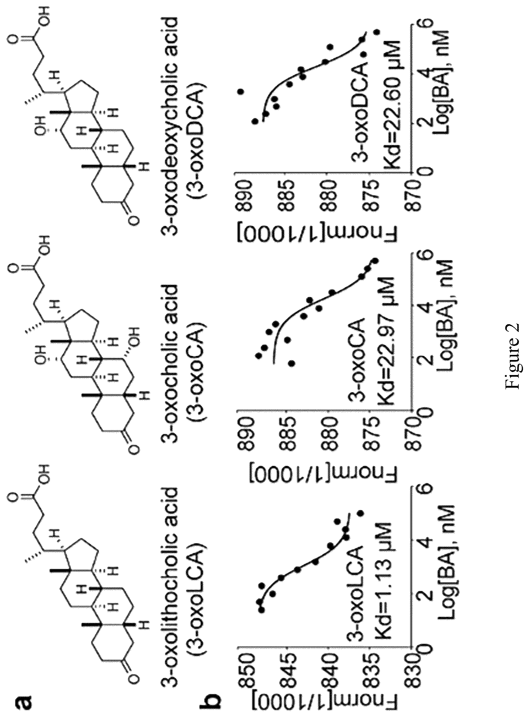 Patent US12103946 Figure 3 – Steroid compounds as Treg modulators and uses thereof