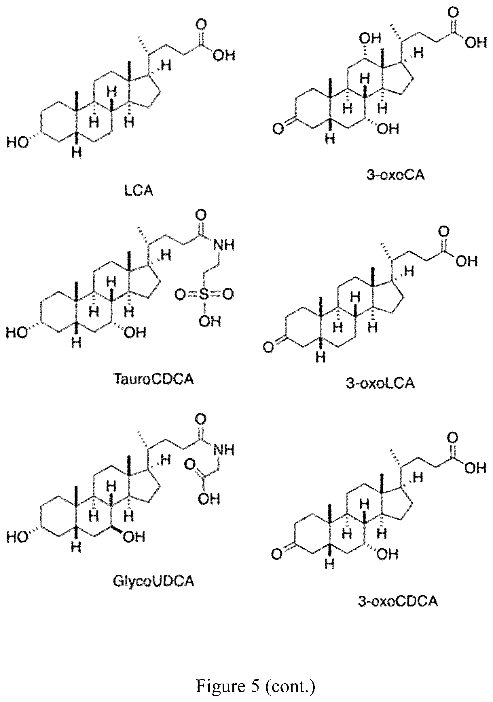 Patent US12103946 Figure 13 – Steroid compounds as Treg modulators and uses thereof