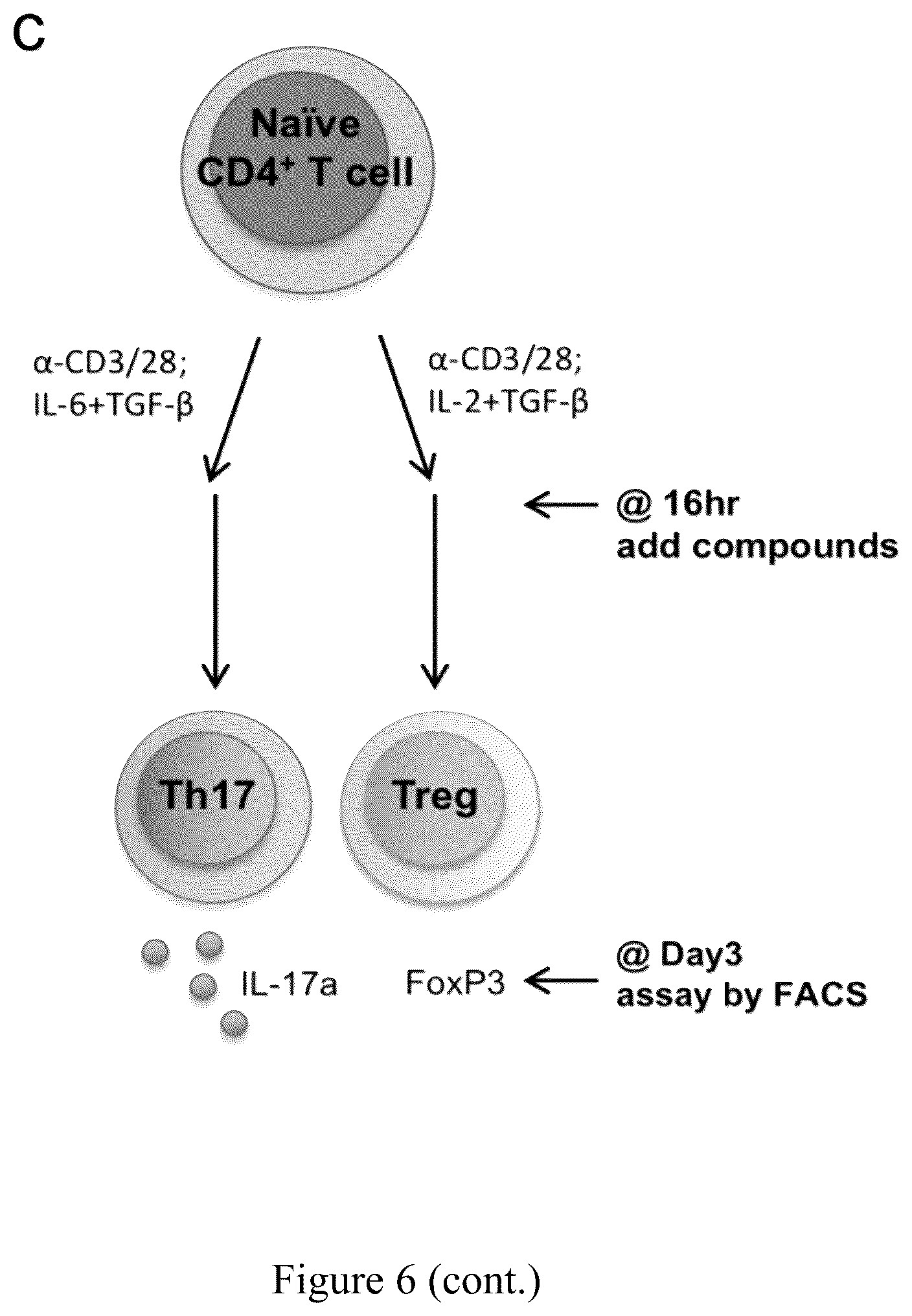 Patent US12103946 Figure 18 – Steroid compounds as Treg modulators and uses thereof