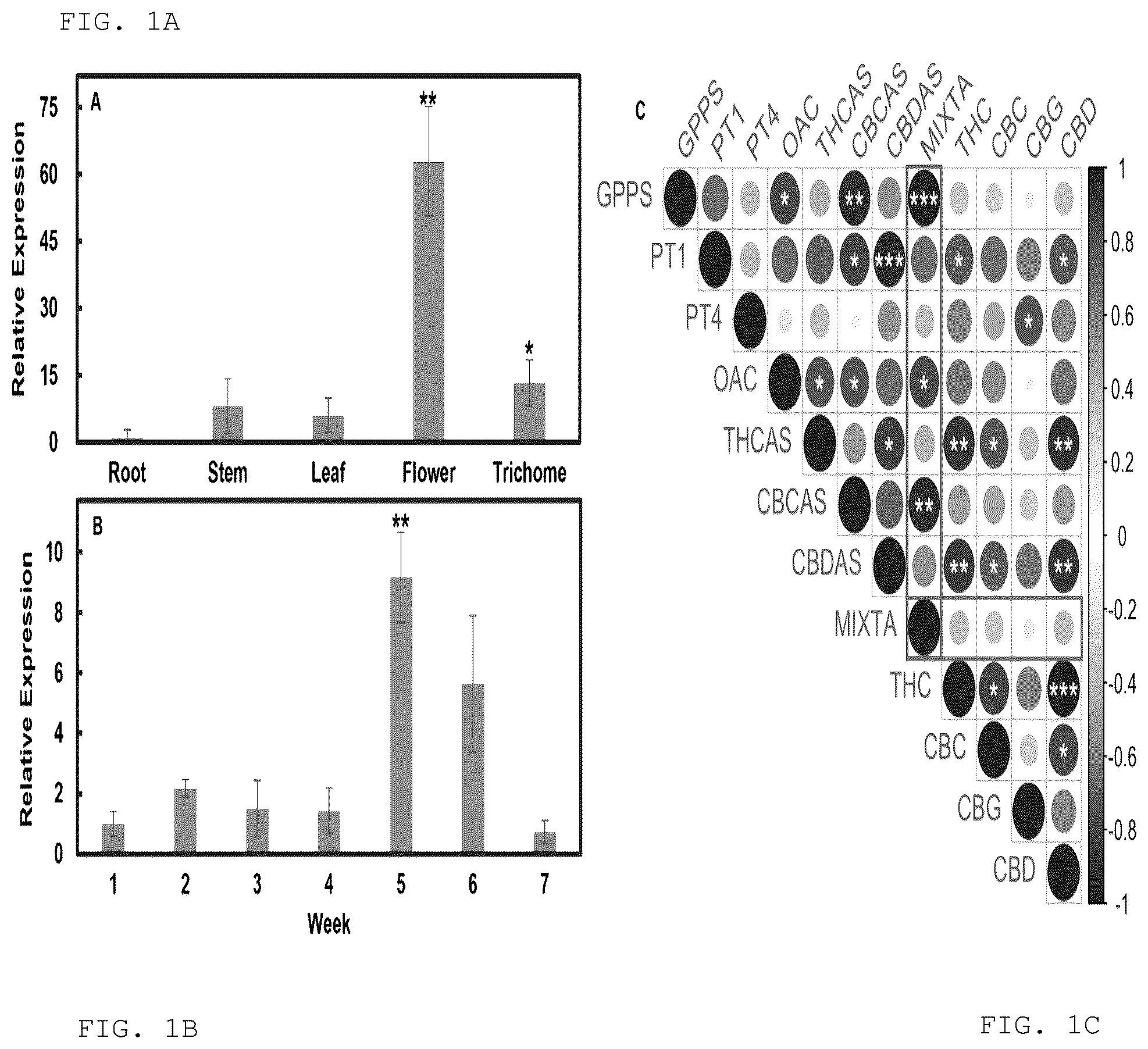 Patent US12103950 — Transgenic plants that overexpress a R2R3-MYB transcription factor gene and methods for producing the same — Figure 1