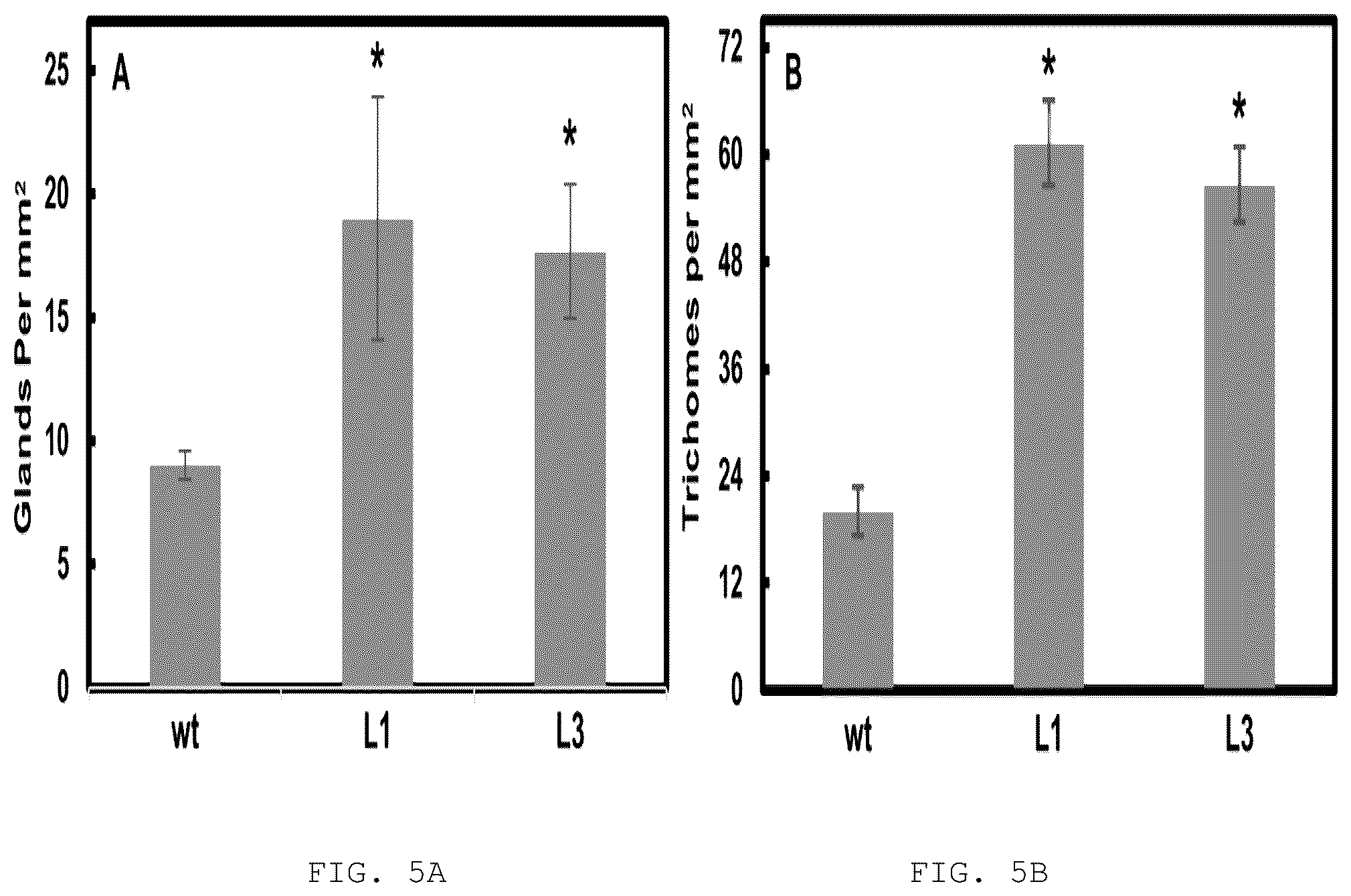 Patent US12103950 Figure 5 – Transgenic plants that overexpress a R2R3-MYB transcription factor gene and methods for producing the same