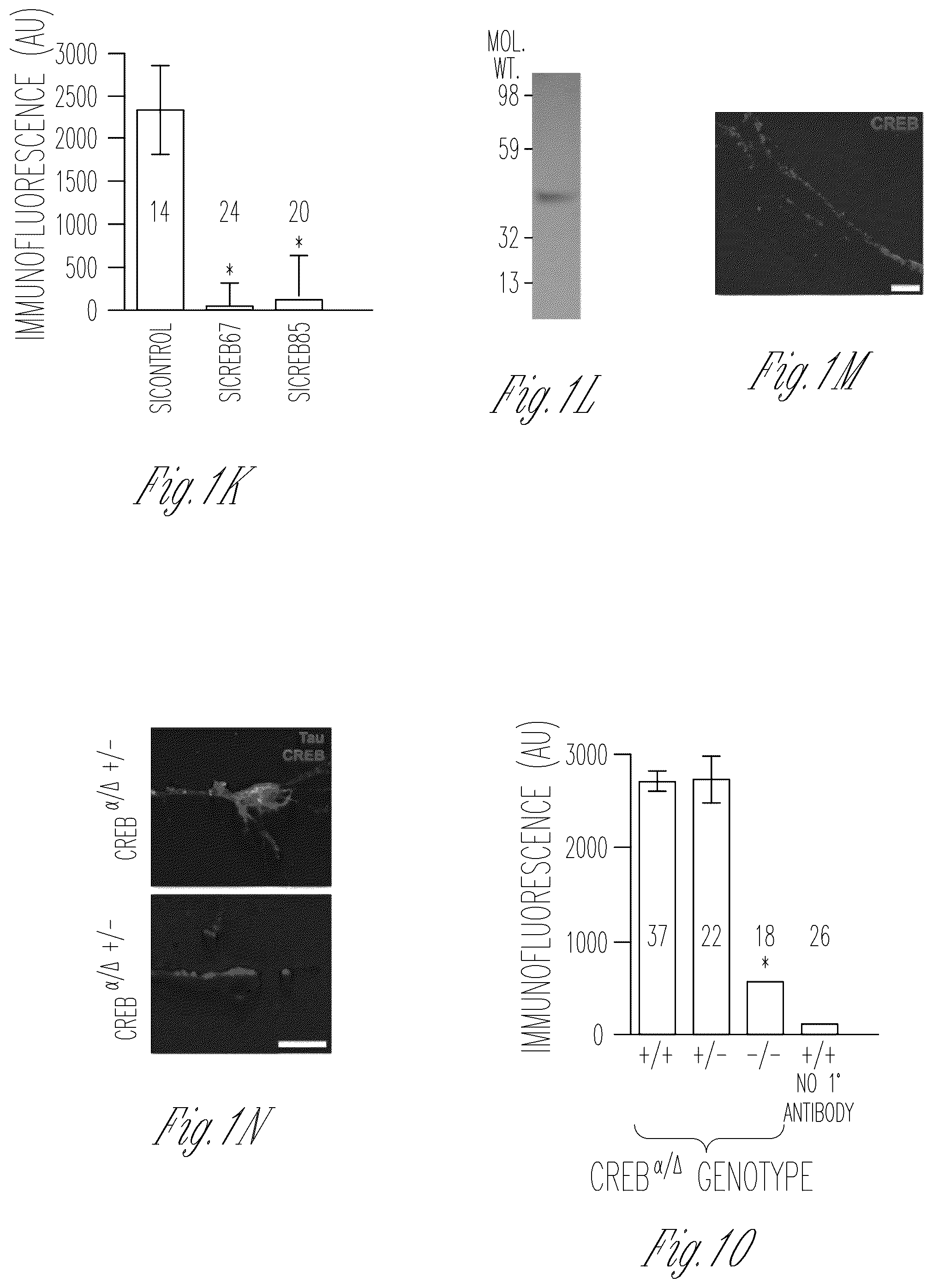 Patent US12103952 Figure 3 – Methods for expressing proteins in axons
