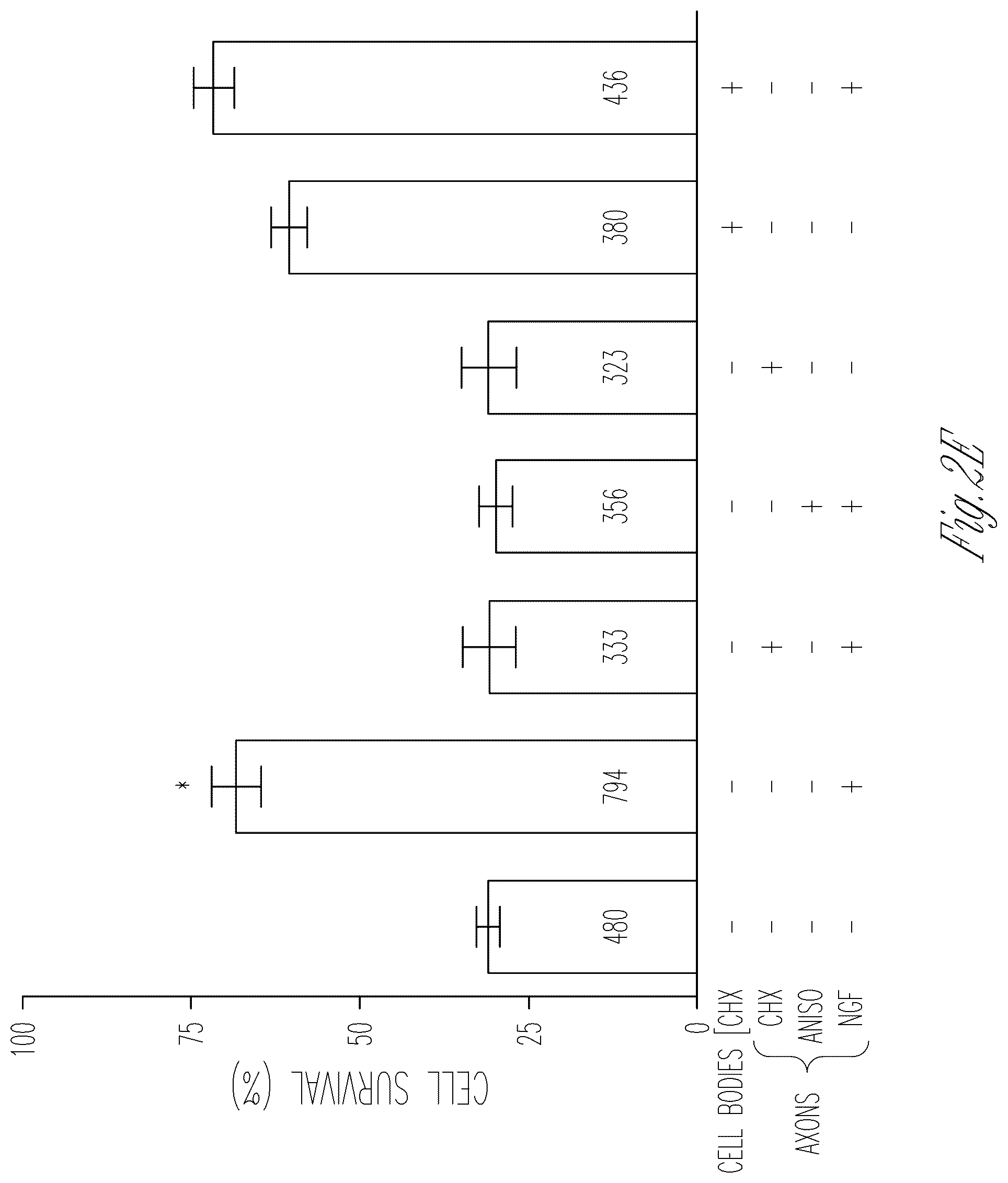 Patent US12103952 Figure 6 – Methods for expressing proteins in axons