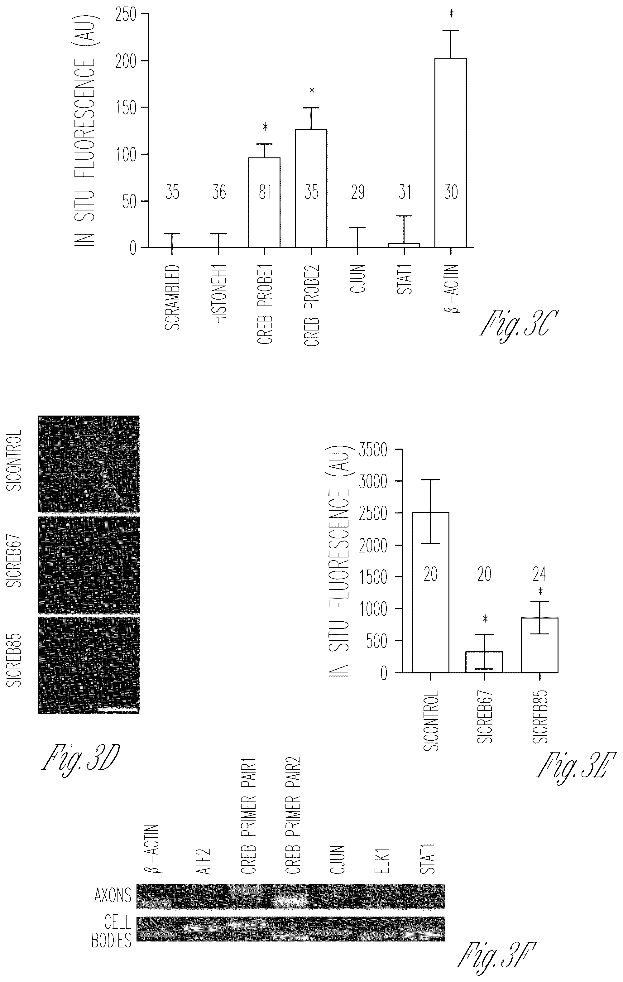 Patent US12103952 Figure 8 – Methods for expressing proteins in axons