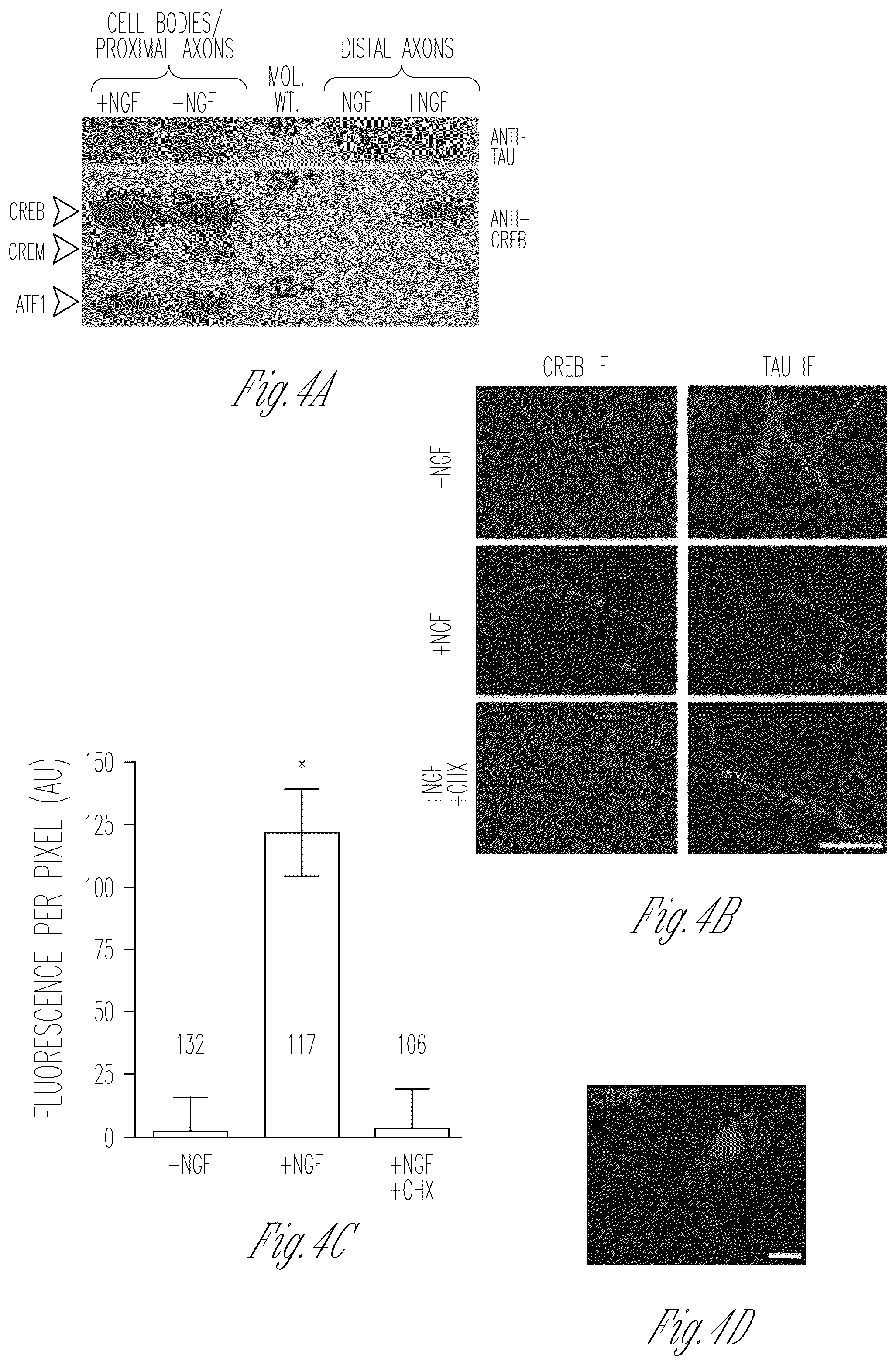 Patent US12103952 Figure 9 – Methods for expressing proteins in axons