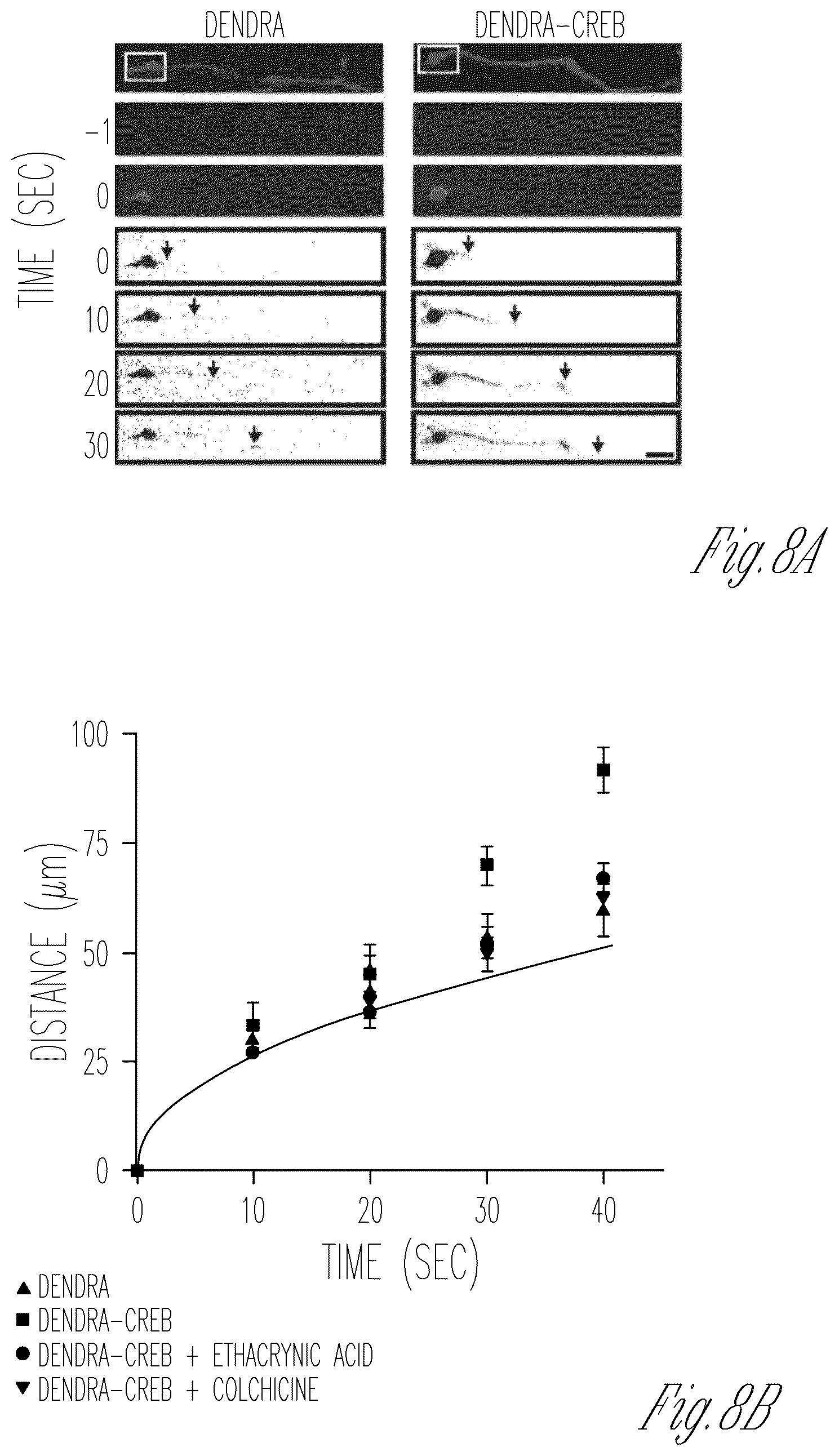 Patent US12103952 Figure 15 – Methods for expressing proteins in axons