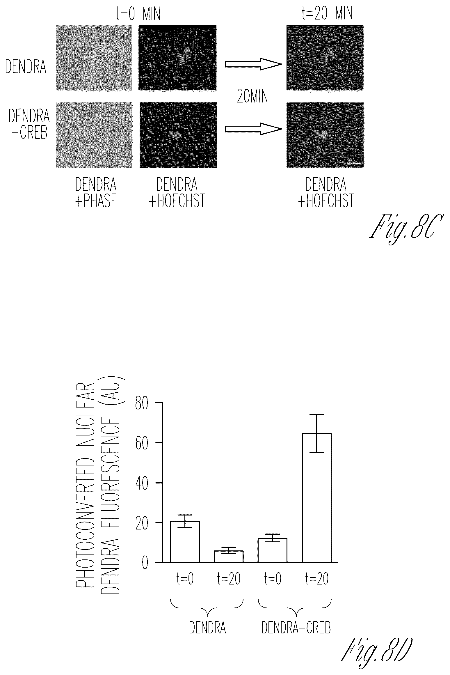 Patent US12103952 Figure 16 – Methods for expressing proteins in axons