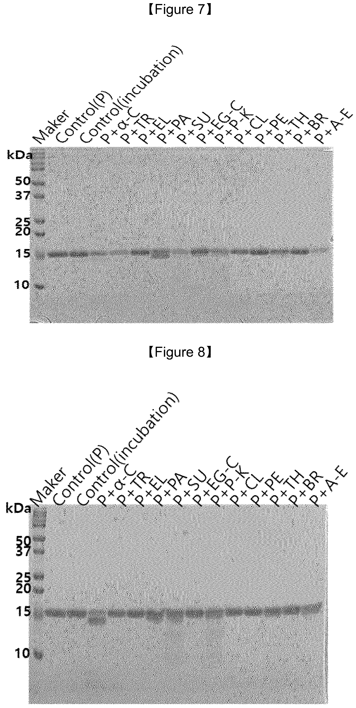 Patent US12103953 Figure 5 – FGF2 polypeptide with improved temperature stability and protease resistance and use thereof