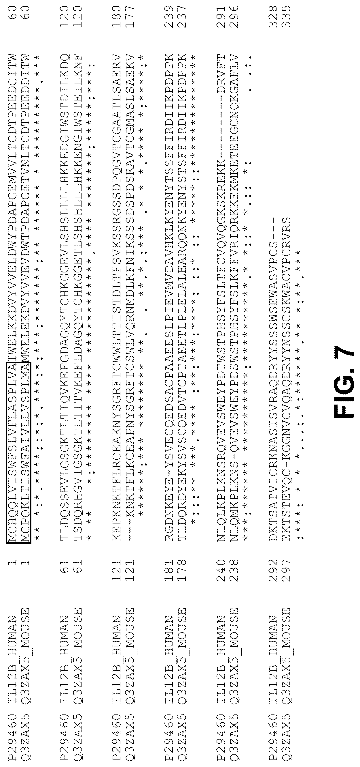 Patent US12103954 Figure 14 – Heterodimeric Fc cytokines and uses thereof