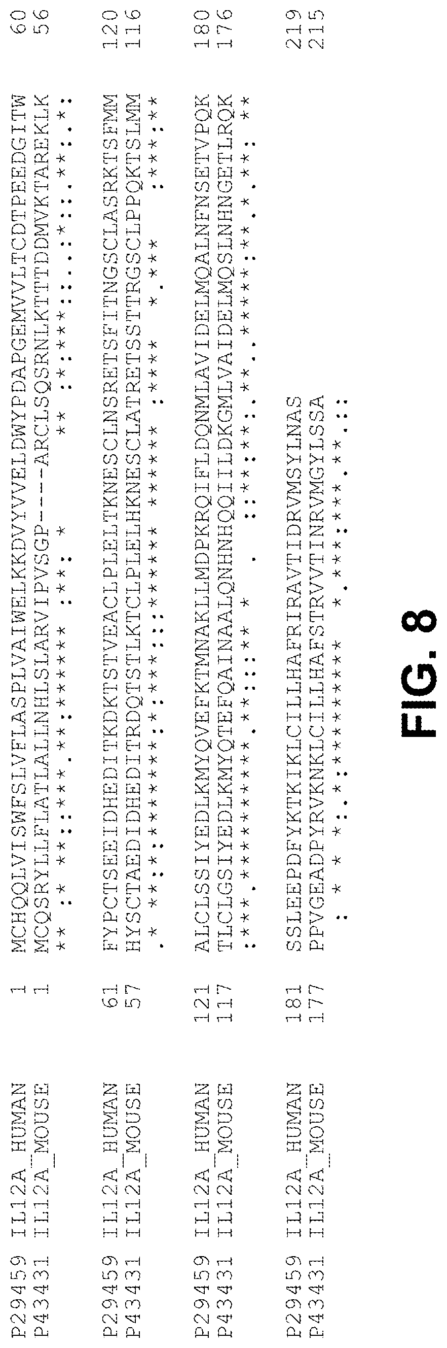 Patent US12103954 Figure 15 – Heterodimeric Fc cytokines and uses thereof