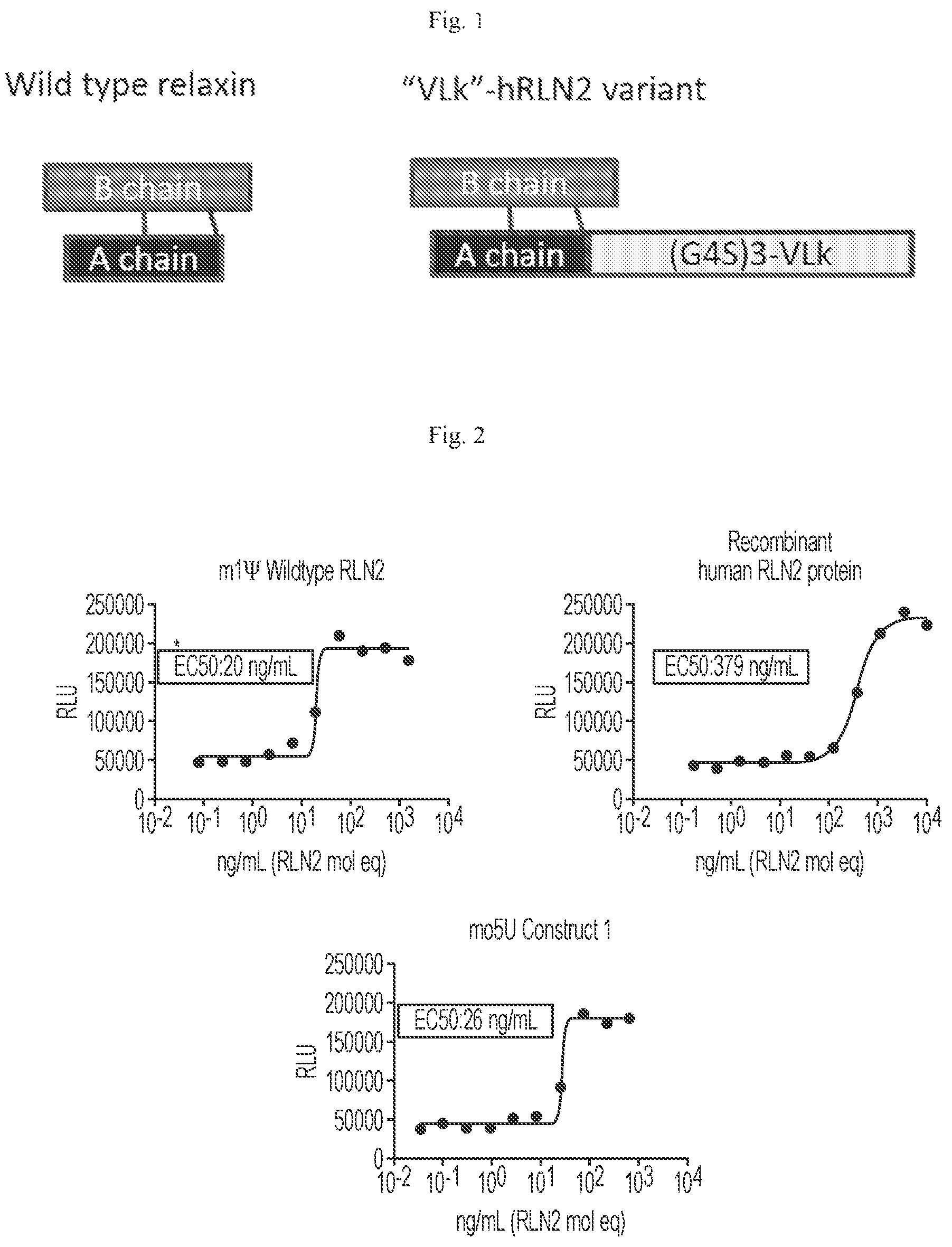 Patent US12103955 Figure 1 – Polynucleotides encoding relaxin