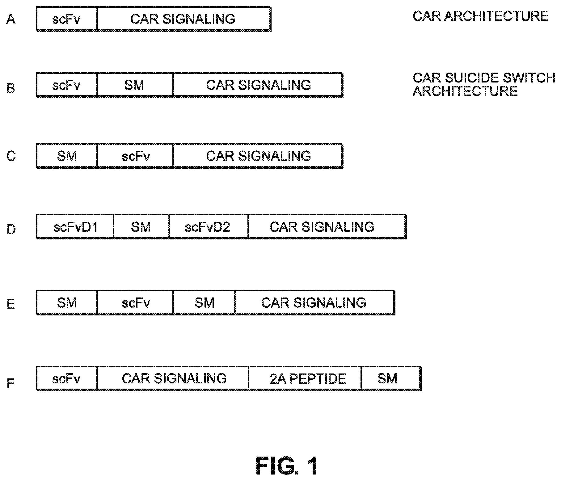 Patent US12103956 Figure 1 – Suicide module compositions and methods