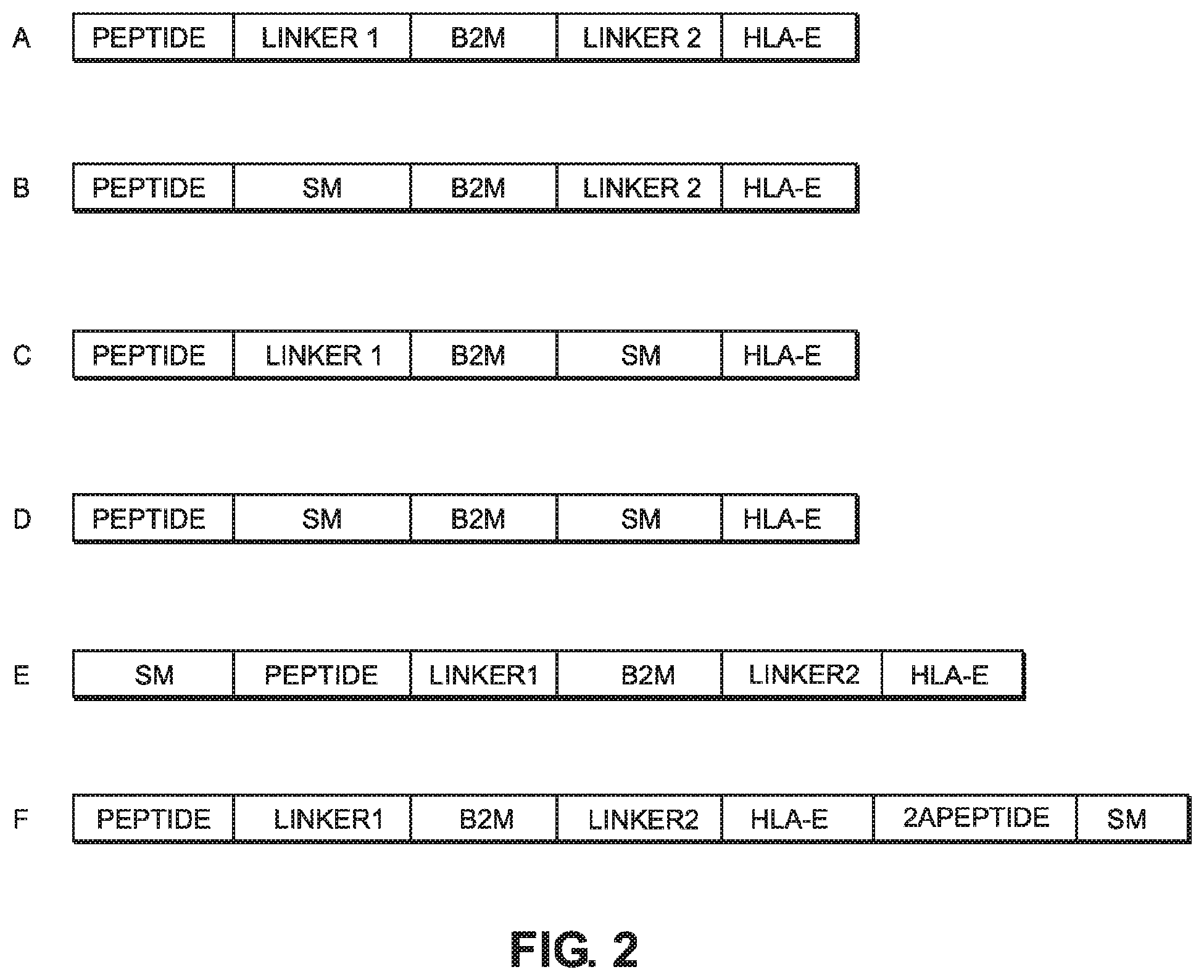 Patent US12103956 Figure 2 – Suicide module compositions and methods