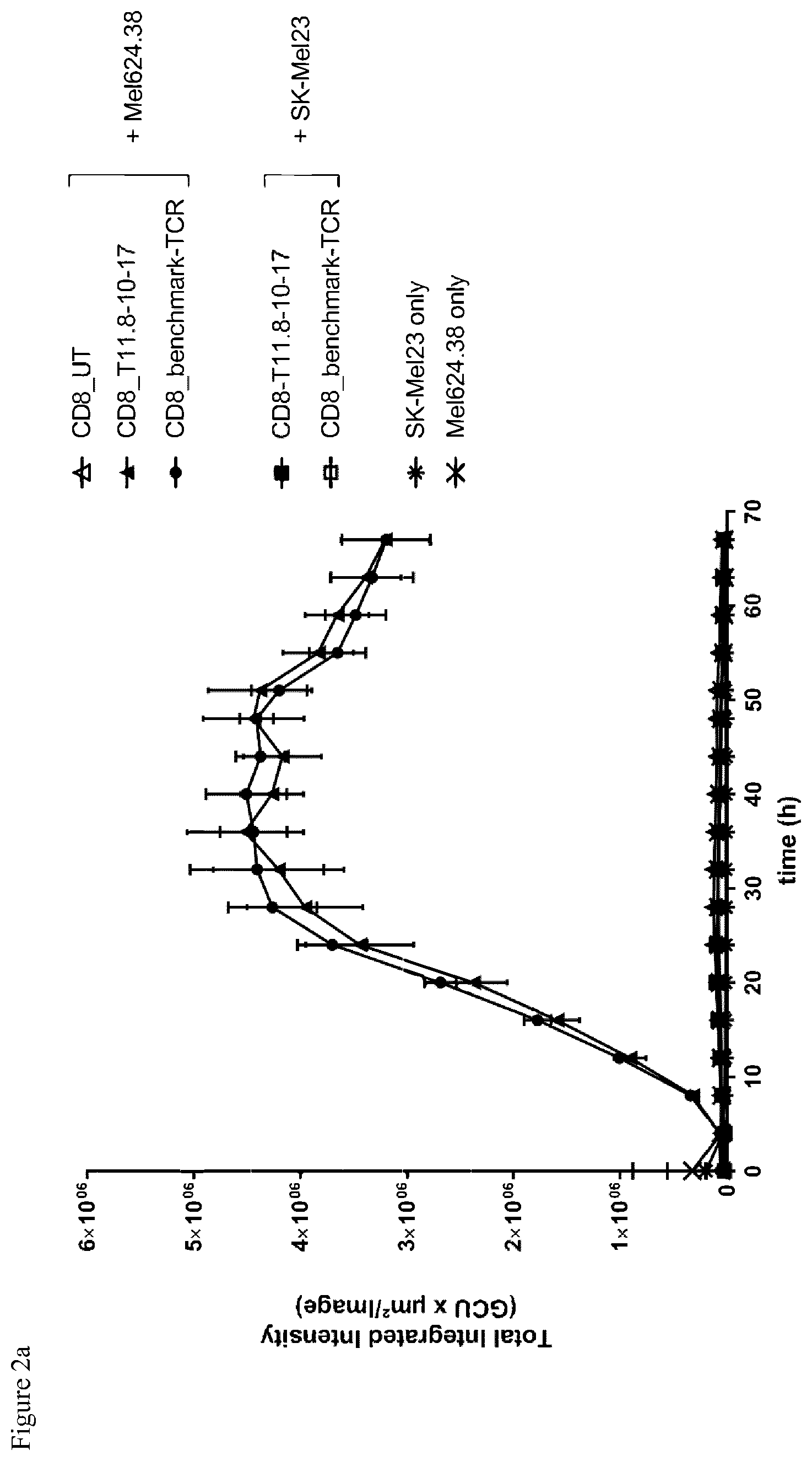 Patent US12103957 Figure 2 – NYESO TCR
