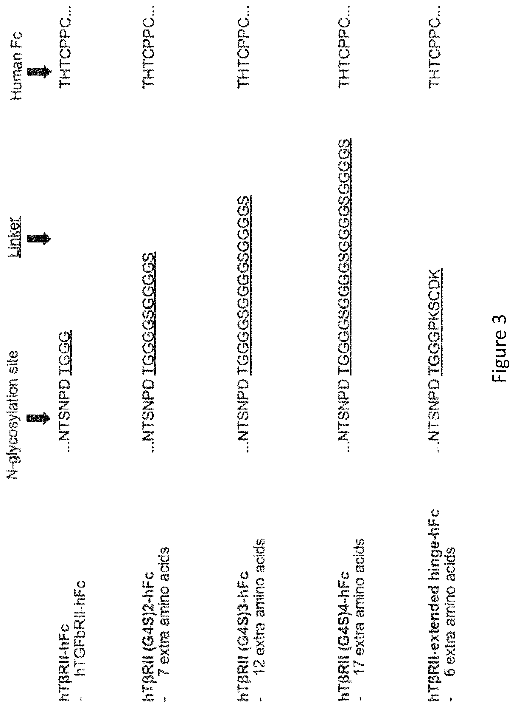 Patent US12103959 Figure 3 – Multispecific binders of TGFBeta-superfamily ligands and uses thereof