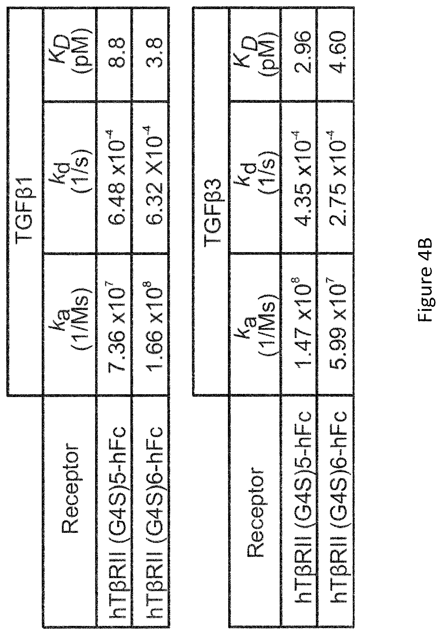 Patent US12103959 Figure 5 – Multispecific binders of TGFBeta-superfamily ligands and uses thereof