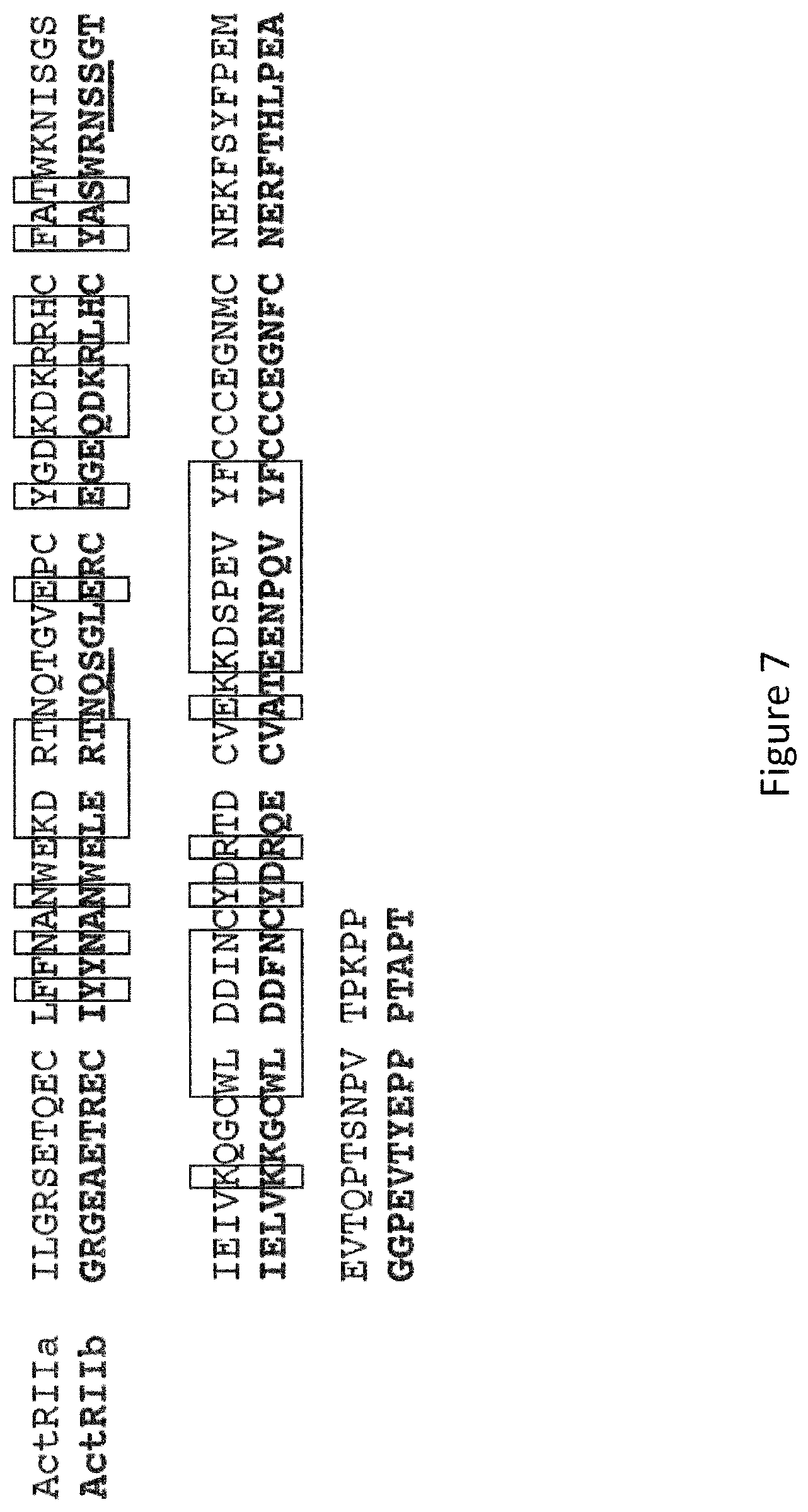 Patent US12103959 Figure 13 – Multispecific binders of TGFBeta-superfamily ligands and uses thereof