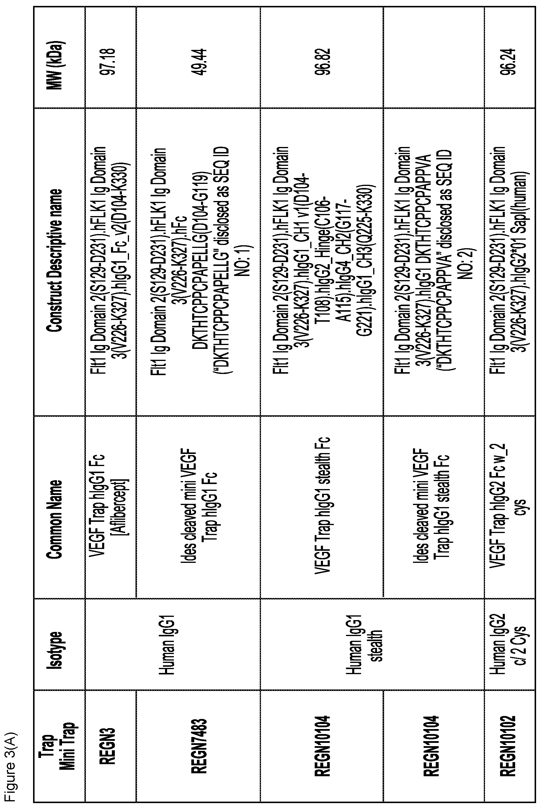 Patent US12103960 Figure 3 – VEGF traps and mini-traps and methods for treating ocular disorders and cancer