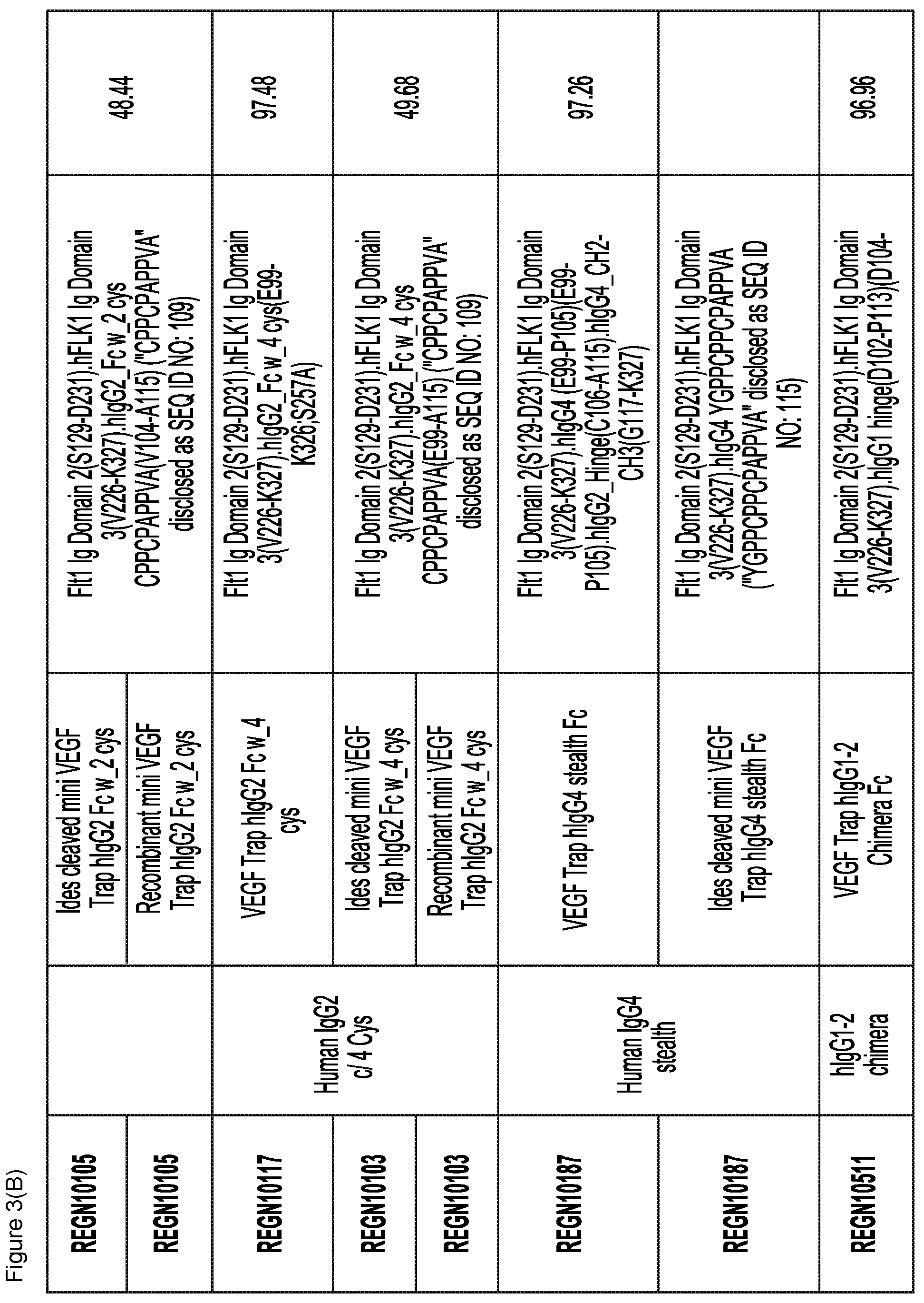 Patent US12103960 Figure 4 – VEGF traps and mini-traps and methods for treating ocular disorders and cancer