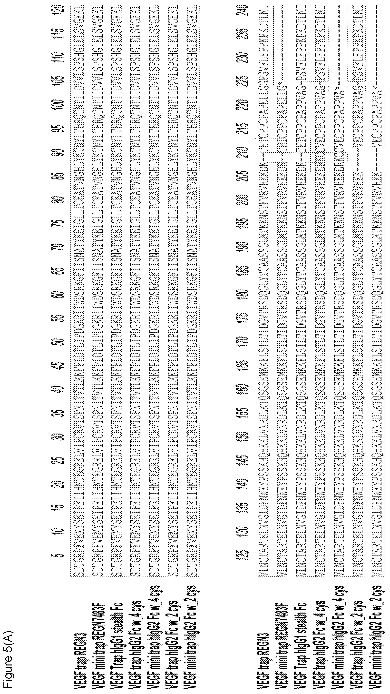 Patent US12103960 Figure 7 – VEGF traps and mini-traps and methods for treating ocular disorders and cancer