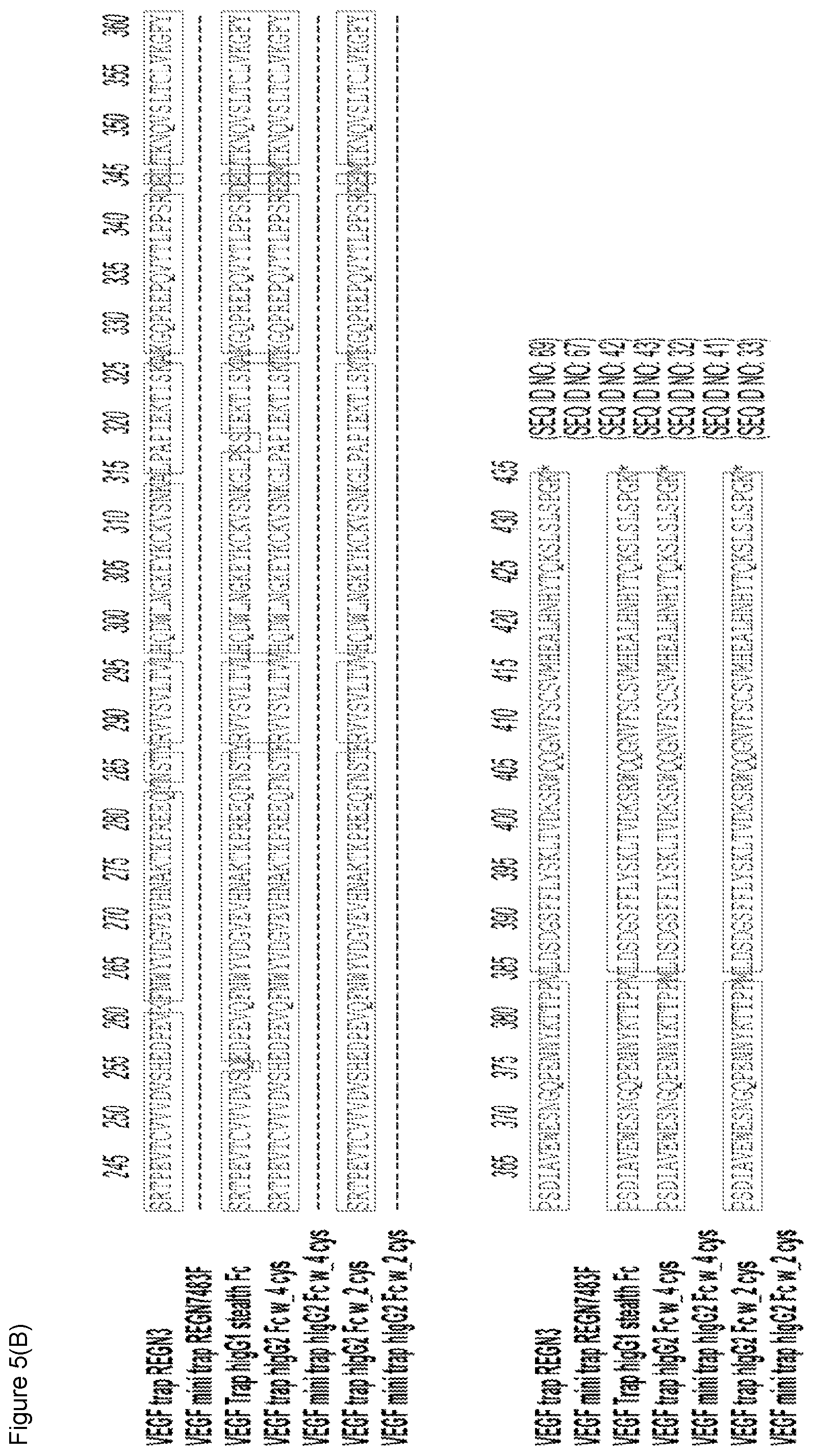 Patent US12103960 Figure 8 – VEGF traps and mini-traps and methods for treating ocular disorders and cancer