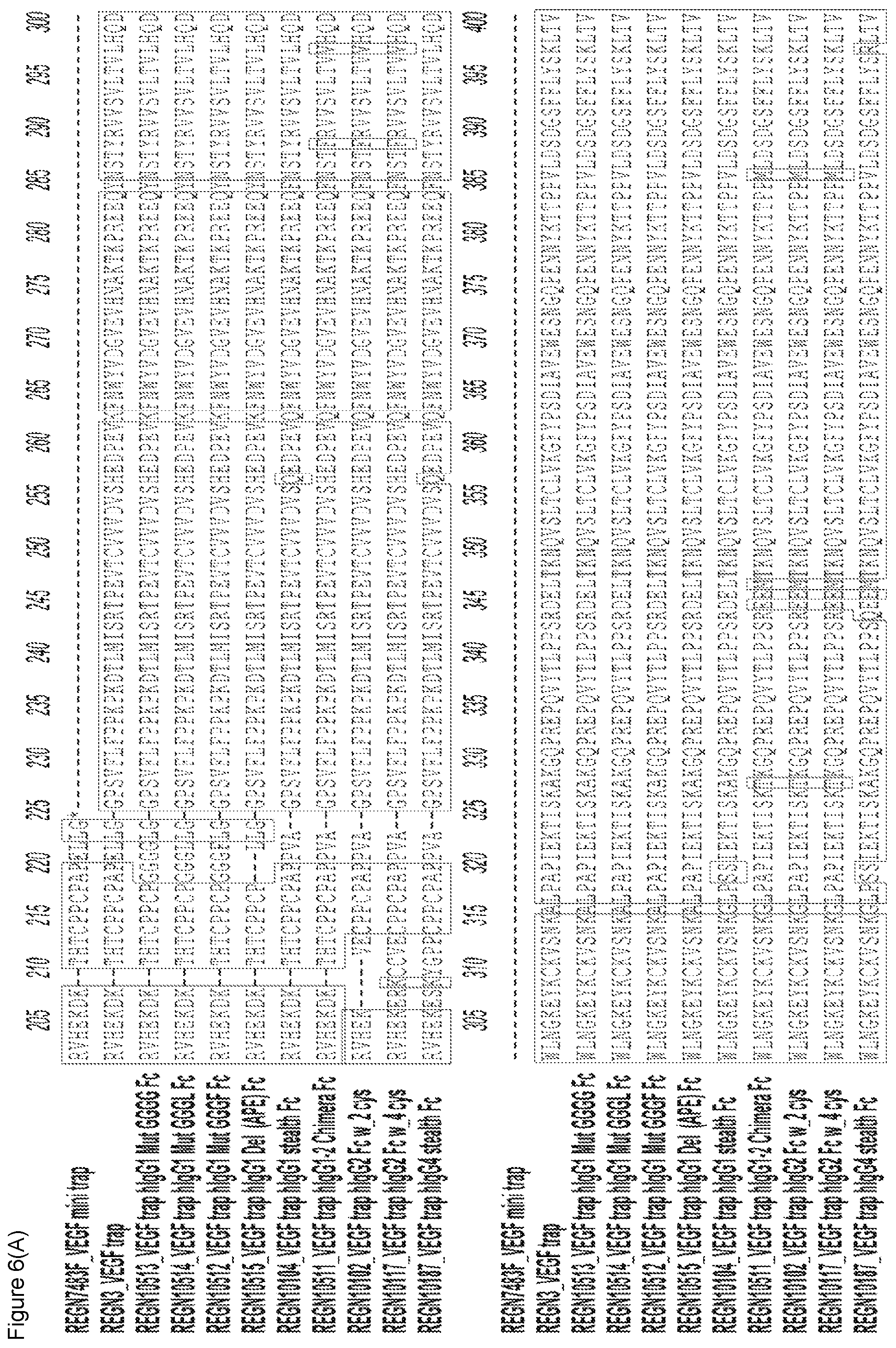 Patent US12103960 Figure 9 – VEGF traps and mini-traps and methods for treating ocular disorders and cancer