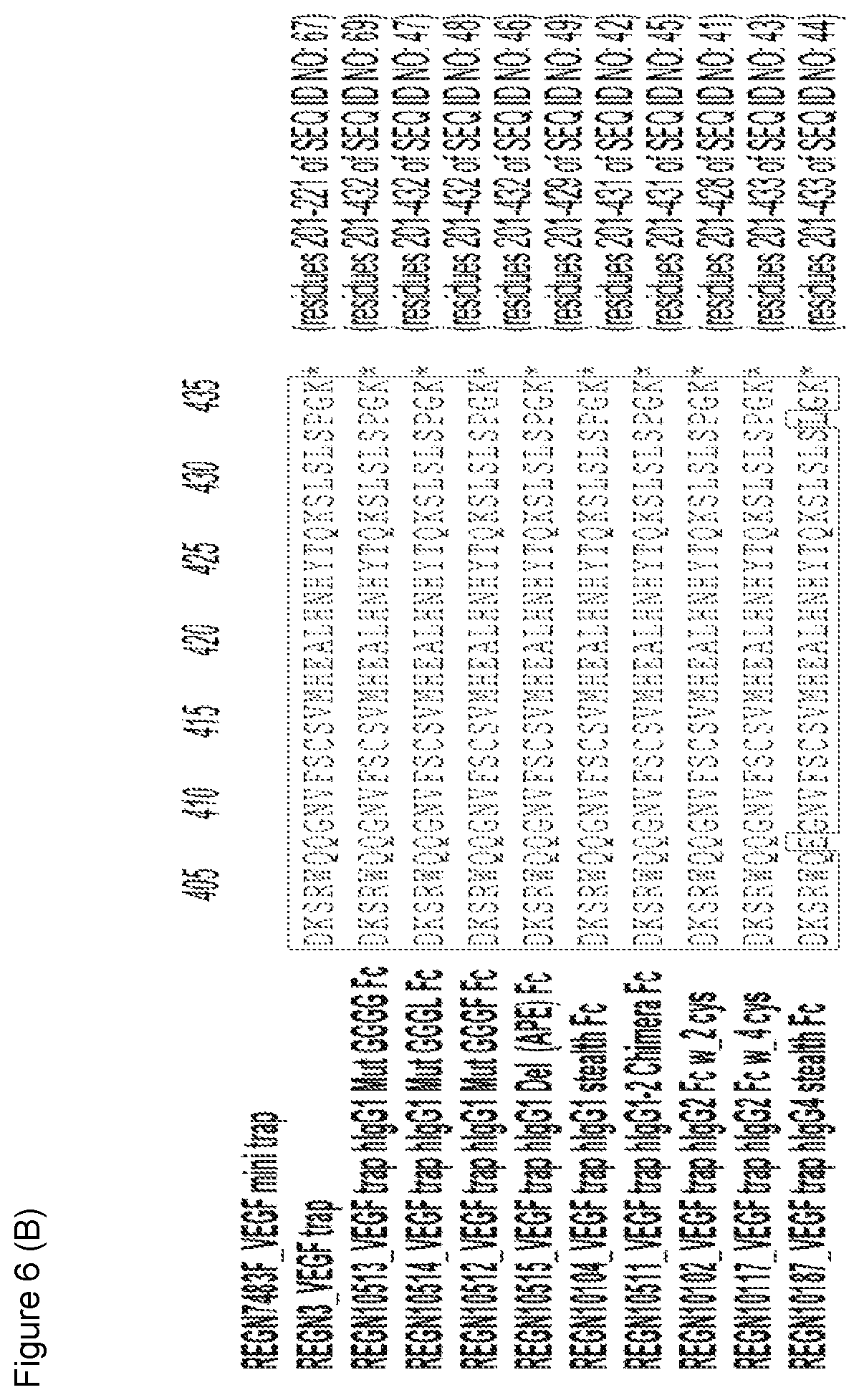 Patent US12103960 Figure 10 – VEGF traps and mini-traps and methods for treating ocular disorders and cancer