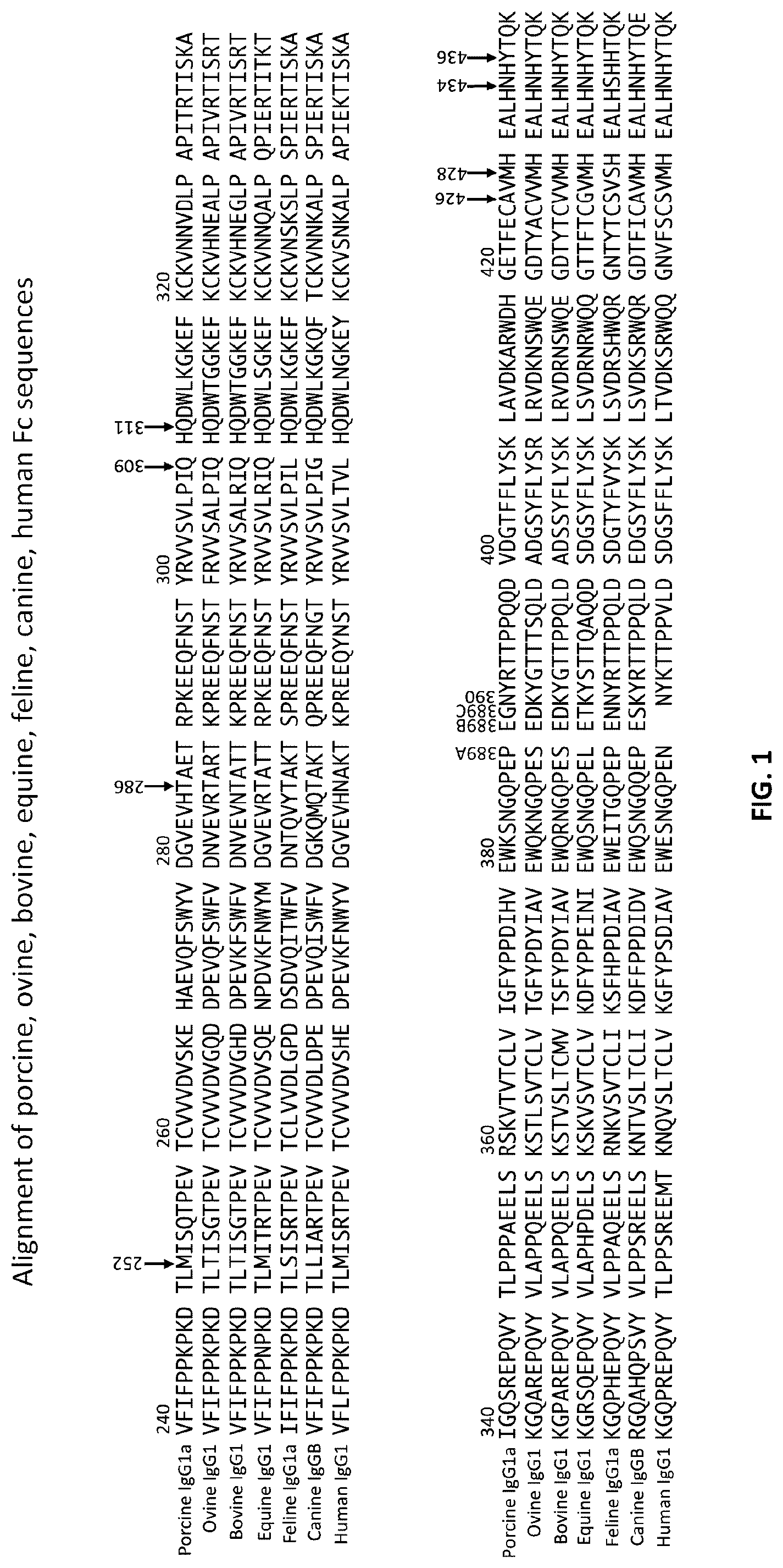 Patent US12103961 Figure 1 – Compositions for increasing half-life of a therapeutic agent in livestock animals and methods of use