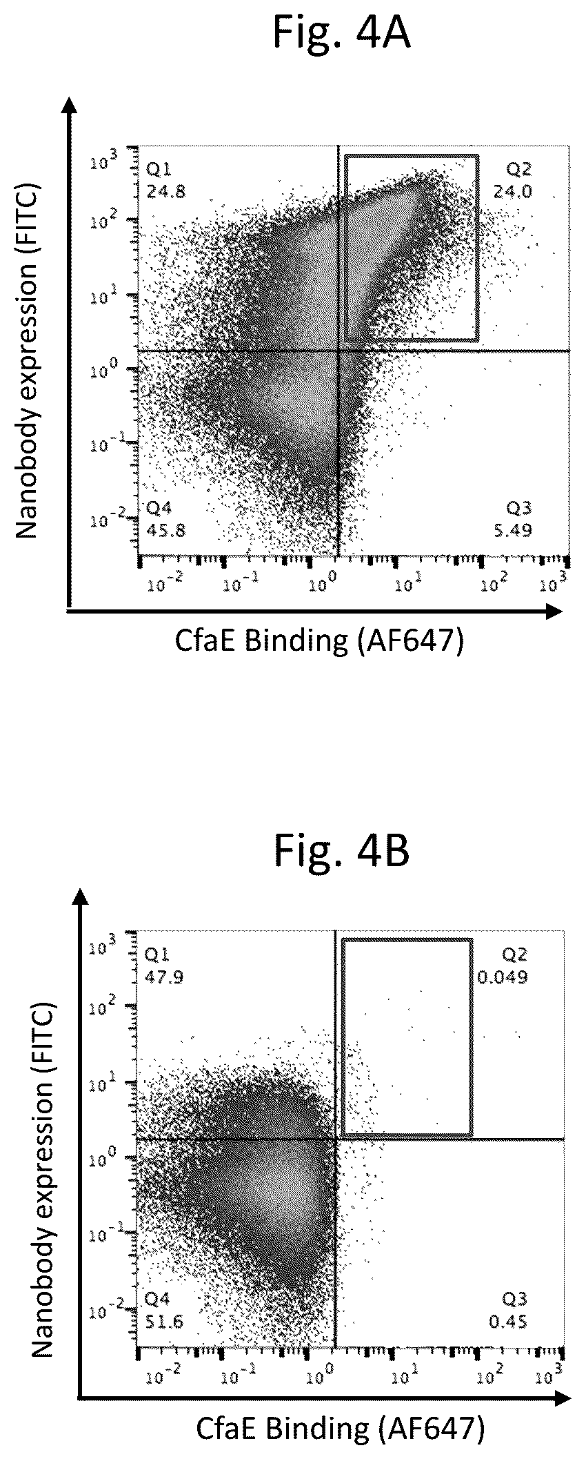 Patent US12103963 Figure 4 – Anti-ETEC adhesin protein antibodies and methods of use