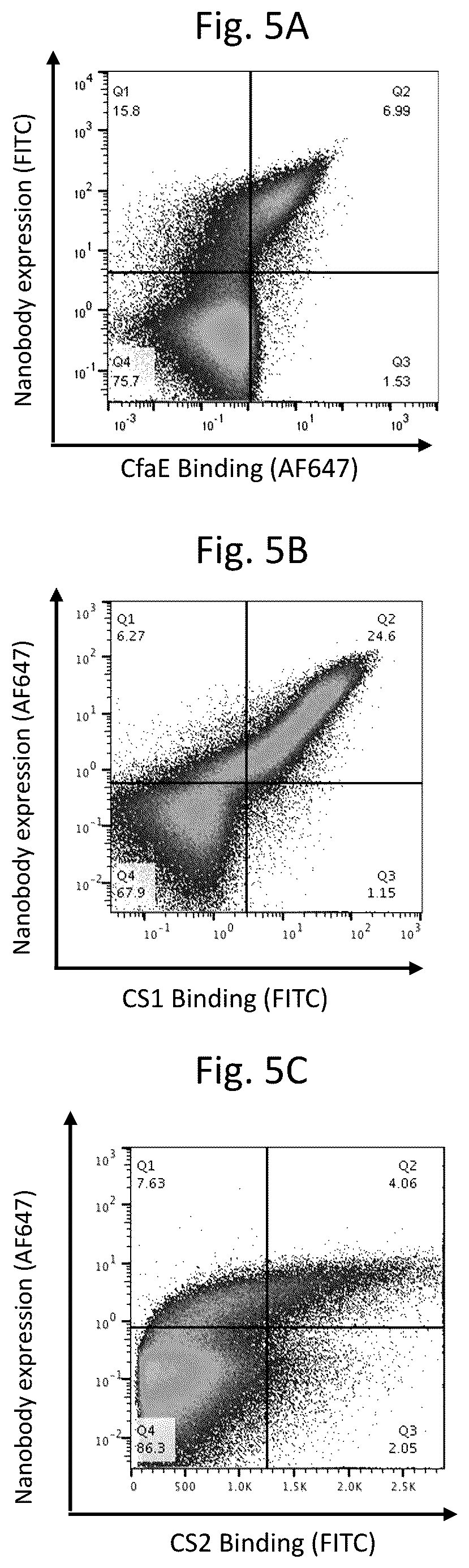 Patent US12103963 Figure 5 – Anti-ETEC adhesin protein antibodies and methods of use