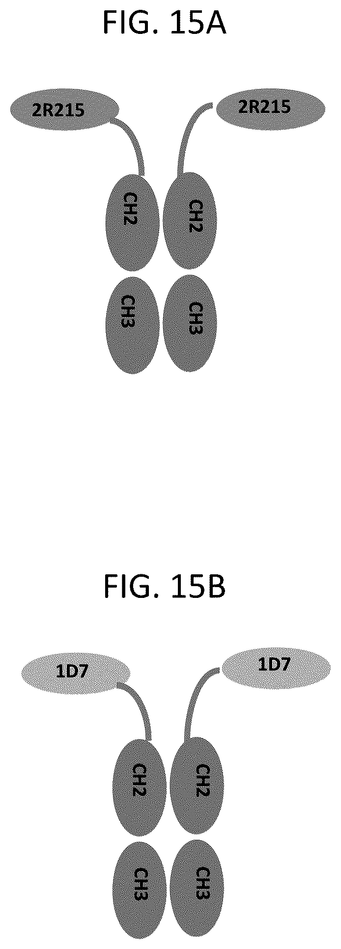 Patent US12103963 Figure 20 – Anti-ETEC adhesin protein antibodies and methods of use