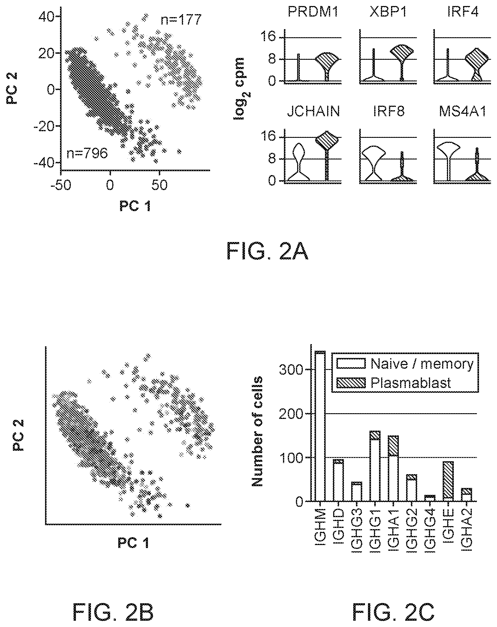 Patent US12103964 Figure 2 – Methods of isolating allergen-specific antibodies from humans and uses thereof
