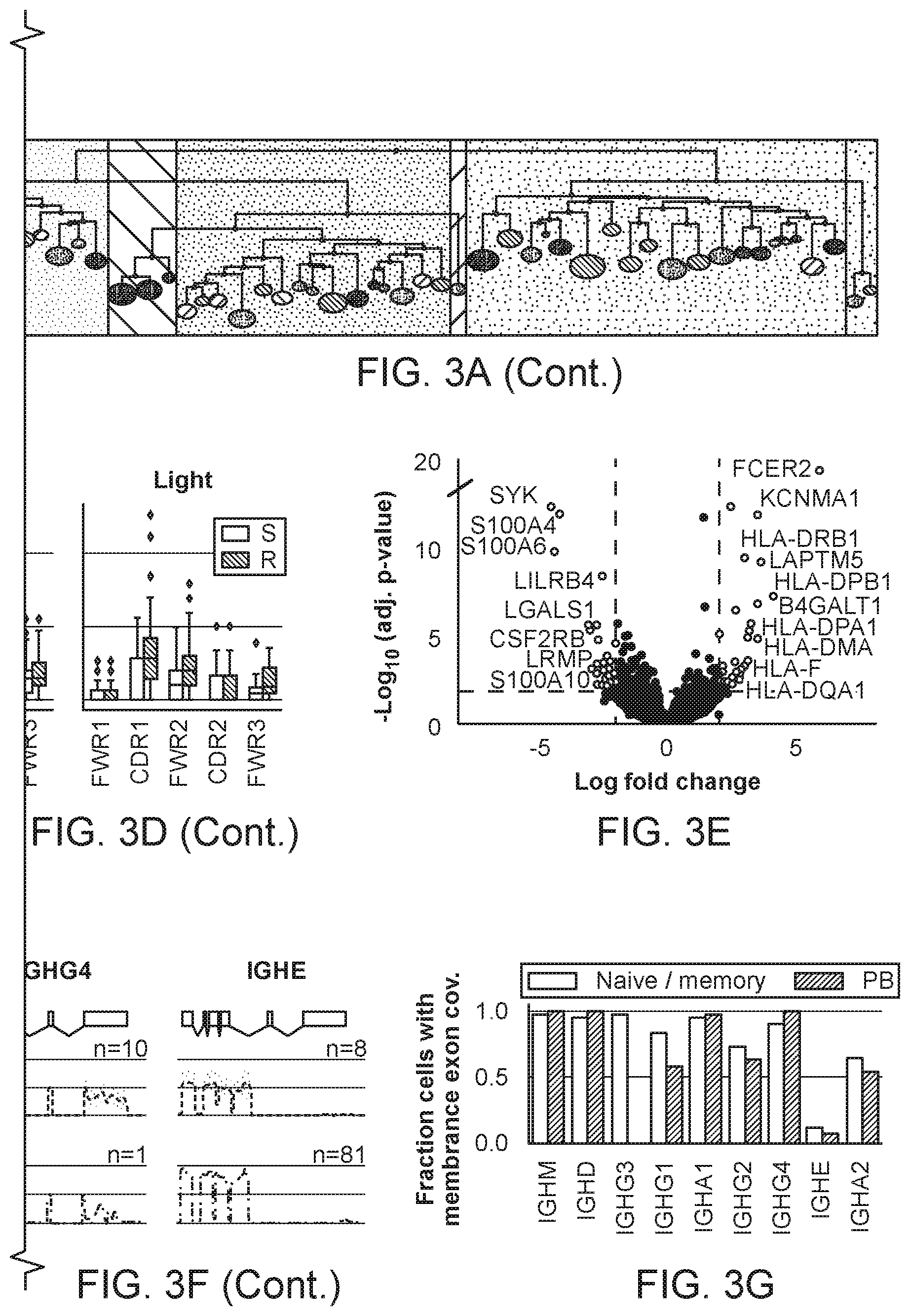 Patent US12103964 Figure 7 – Methods of isolating allergen-specific antibodies from humans and uses thereof