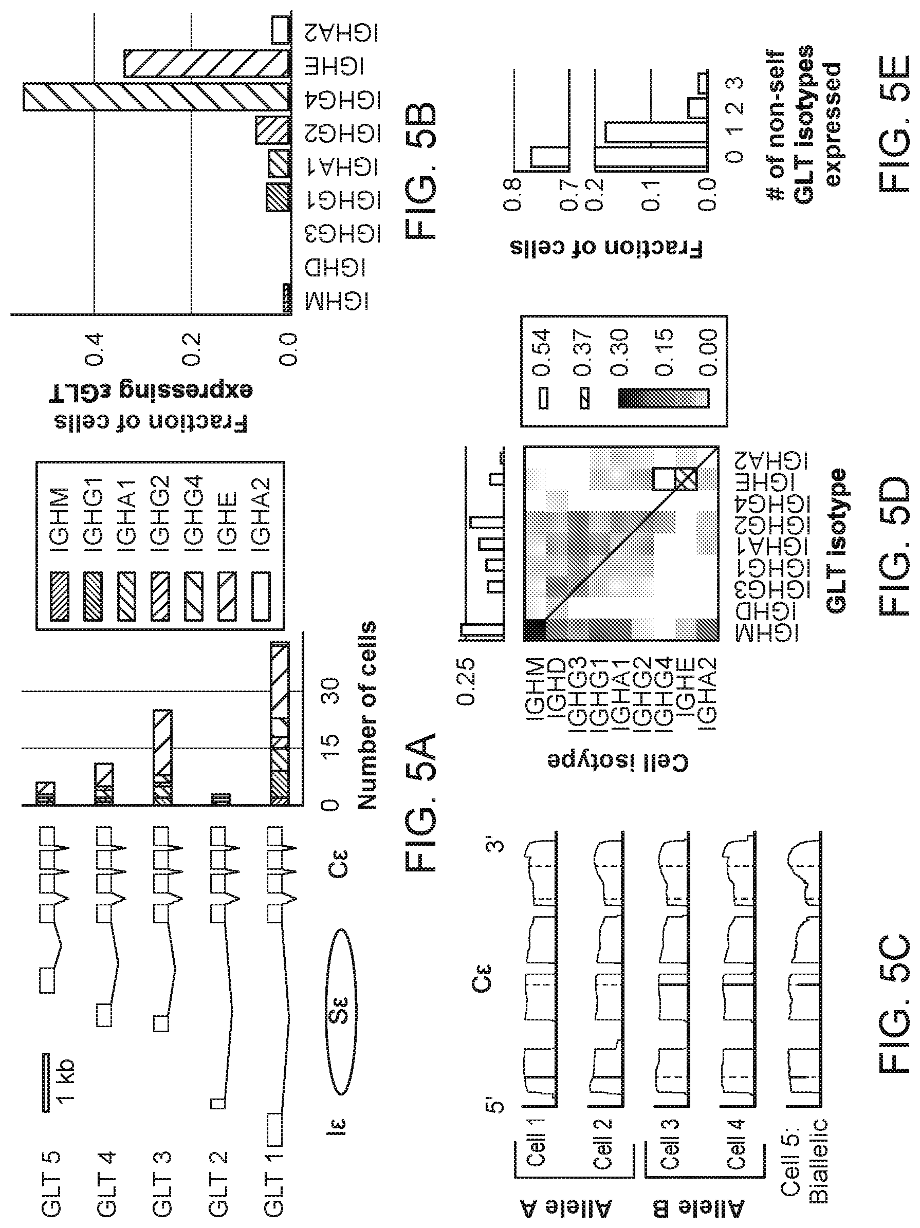 Patent US12103964 Figure 9 – Methods of isolating allergen-specific antibodies from humans and uses thereof