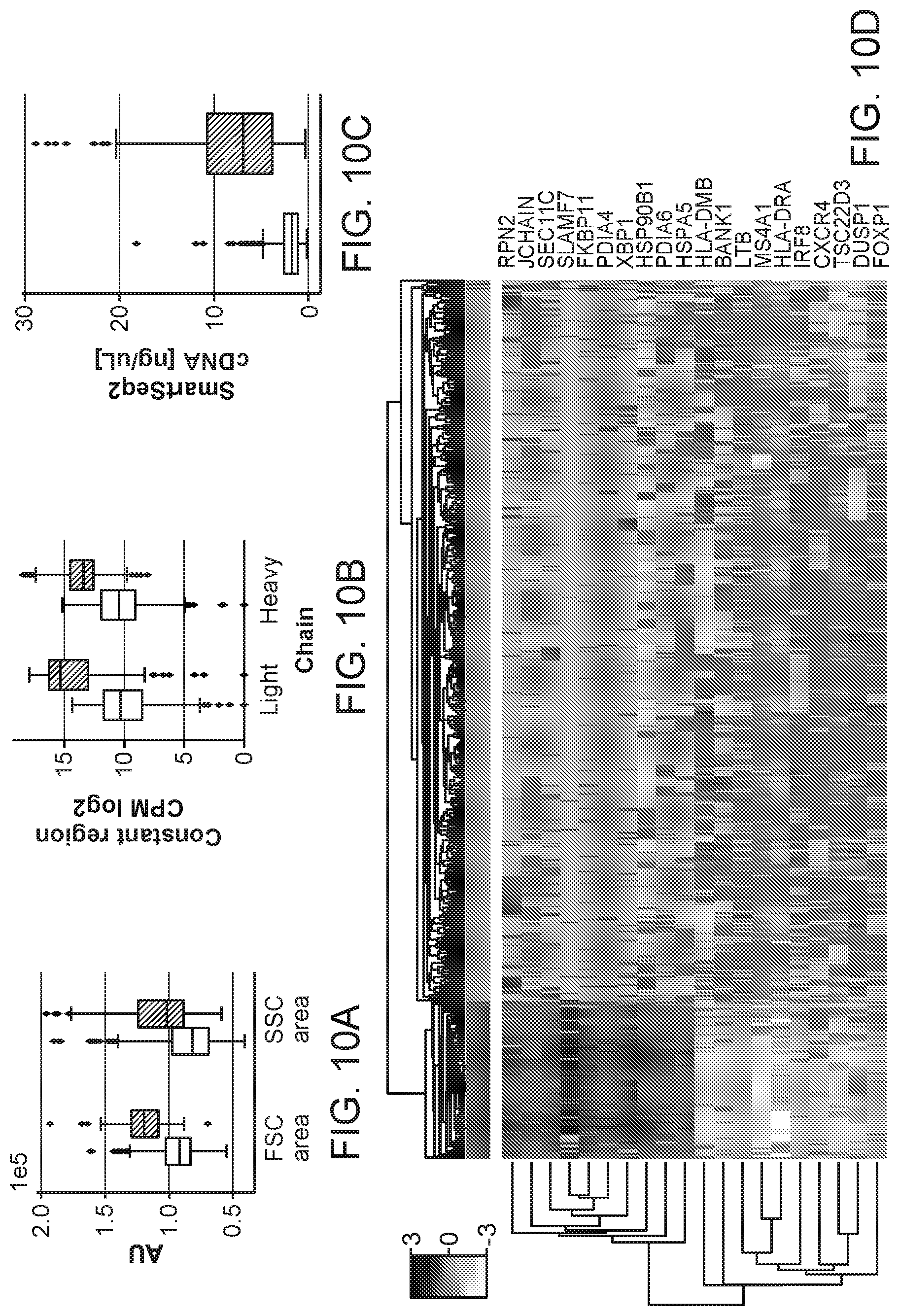 Patent US12103964 Figure 14 – Methods of isolating allergen-specific antibodies from humans and uses thereof