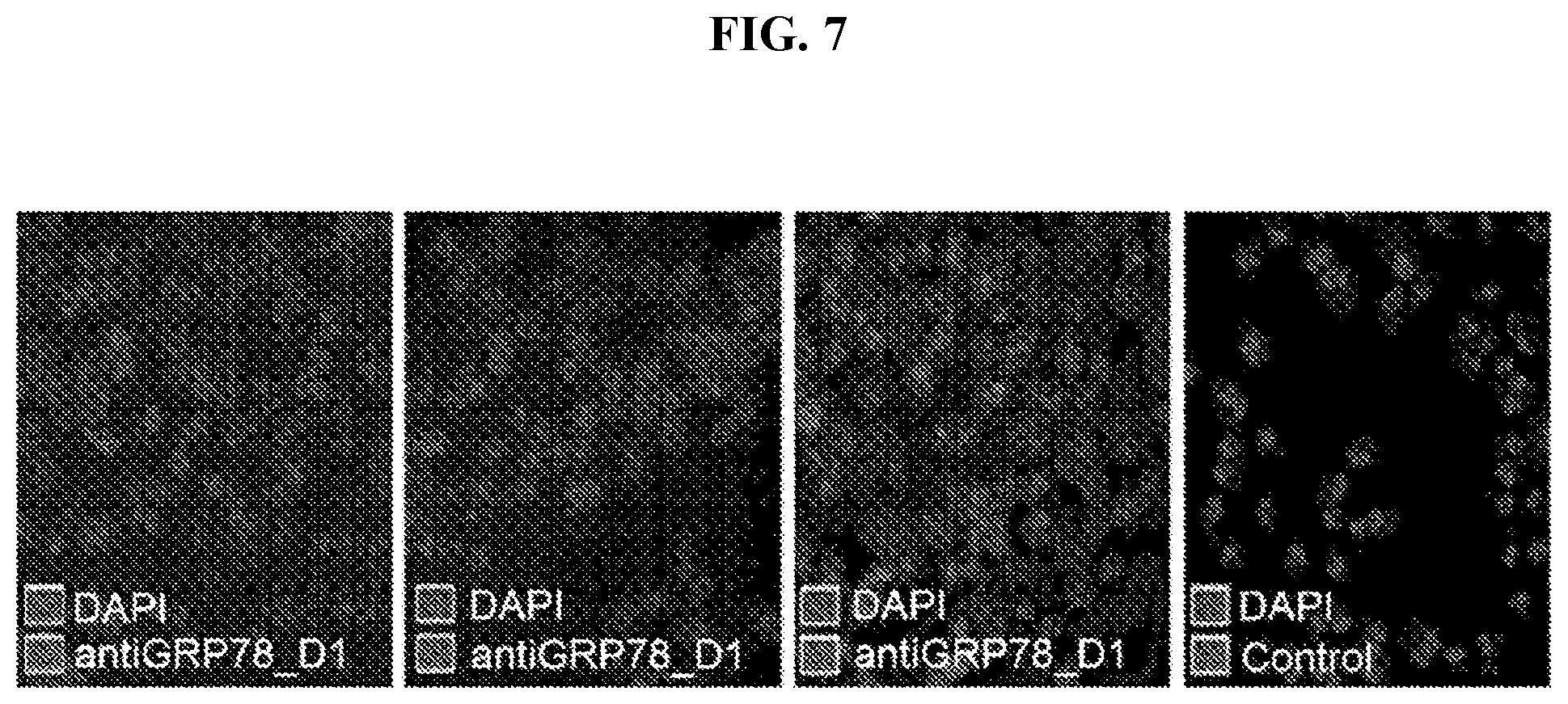 Patent US12103966 Figure 11 – GRP78-binding antibodies and uses thereof in detecting or neutralizing GRP78