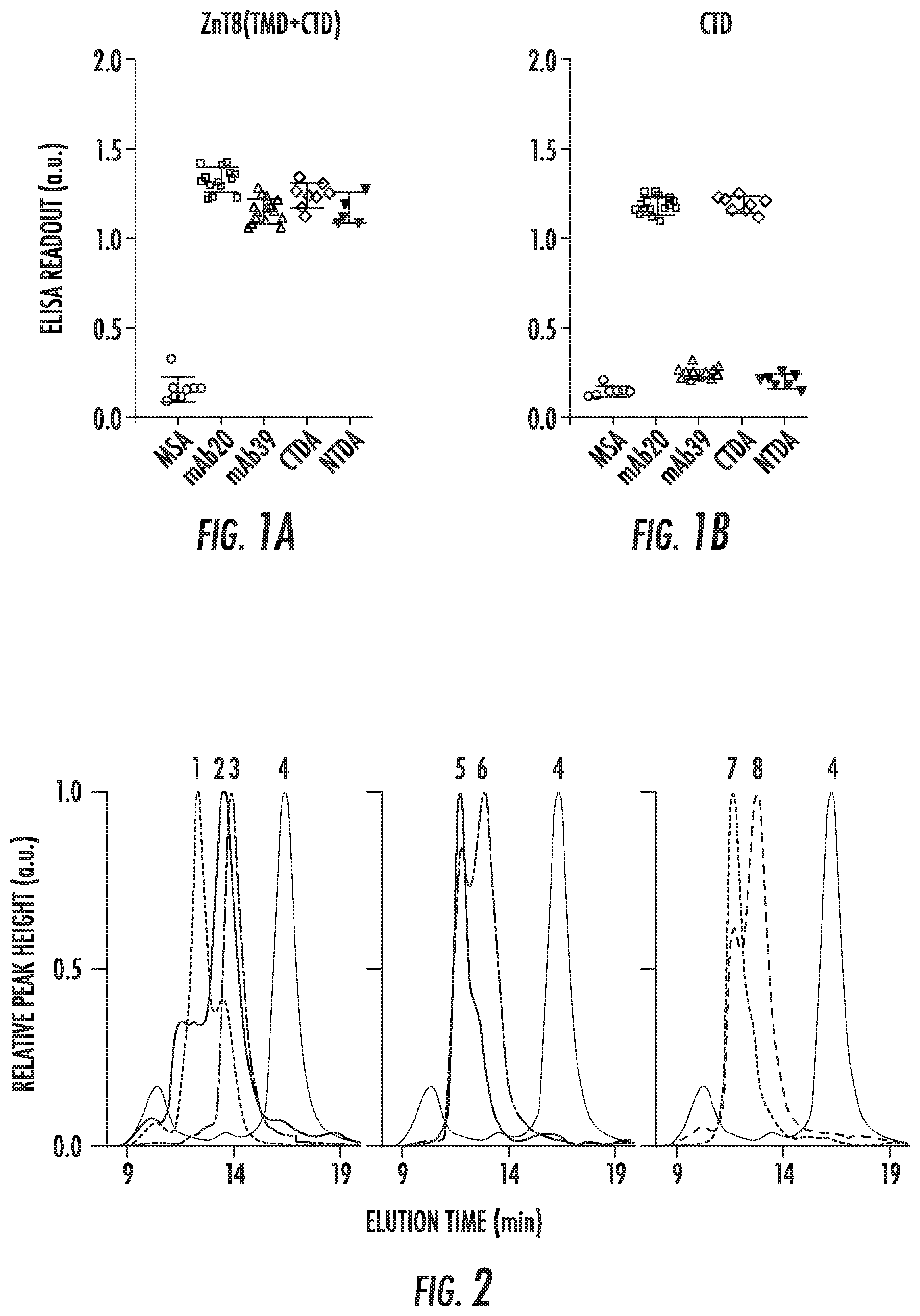 Patent US12103968 Figure 1 – Antibodies to human ZnT8