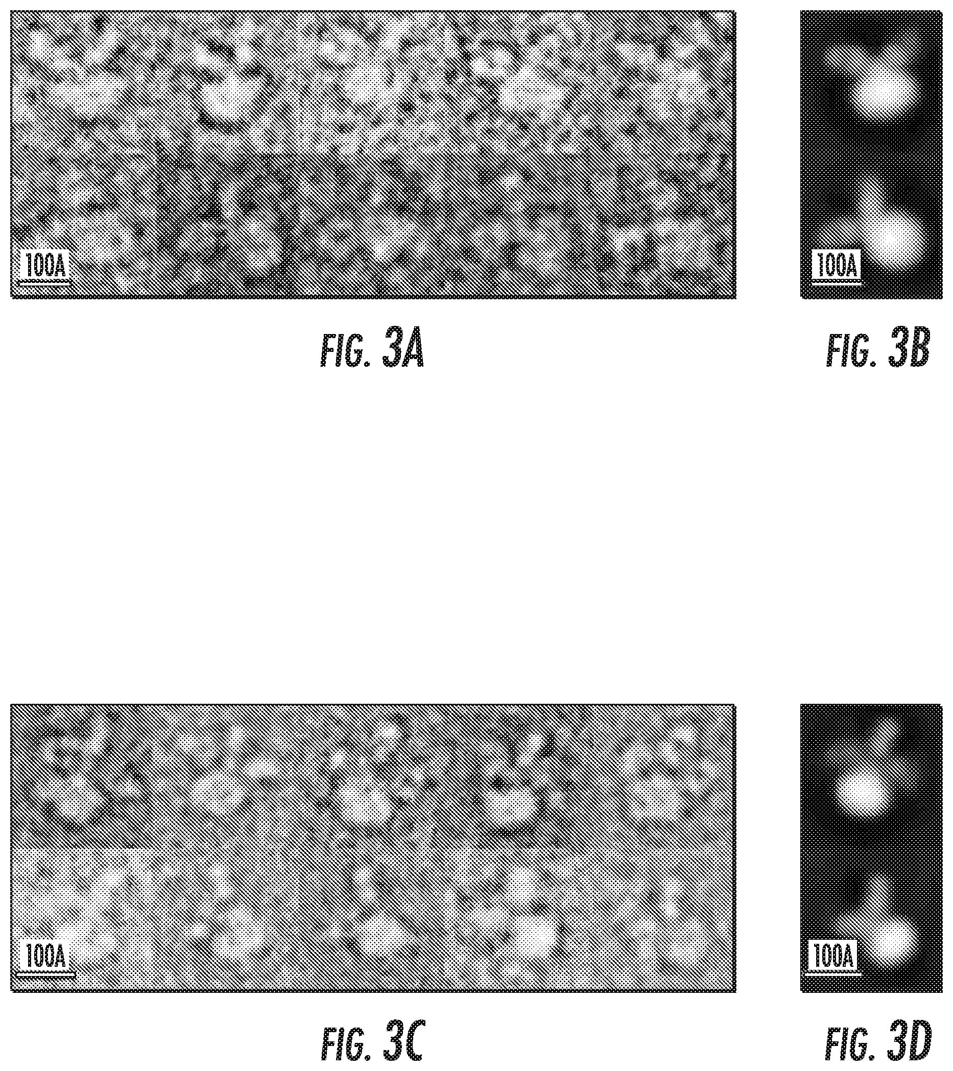Patent US12103968 Figure 2 – Antibodies to human ZnT8