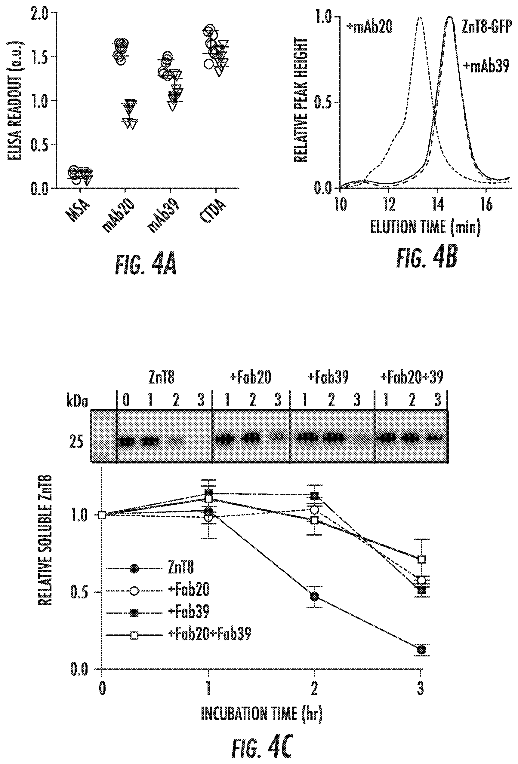 Patent US12103968 Figure 4 – Antibodies to human ZnT8