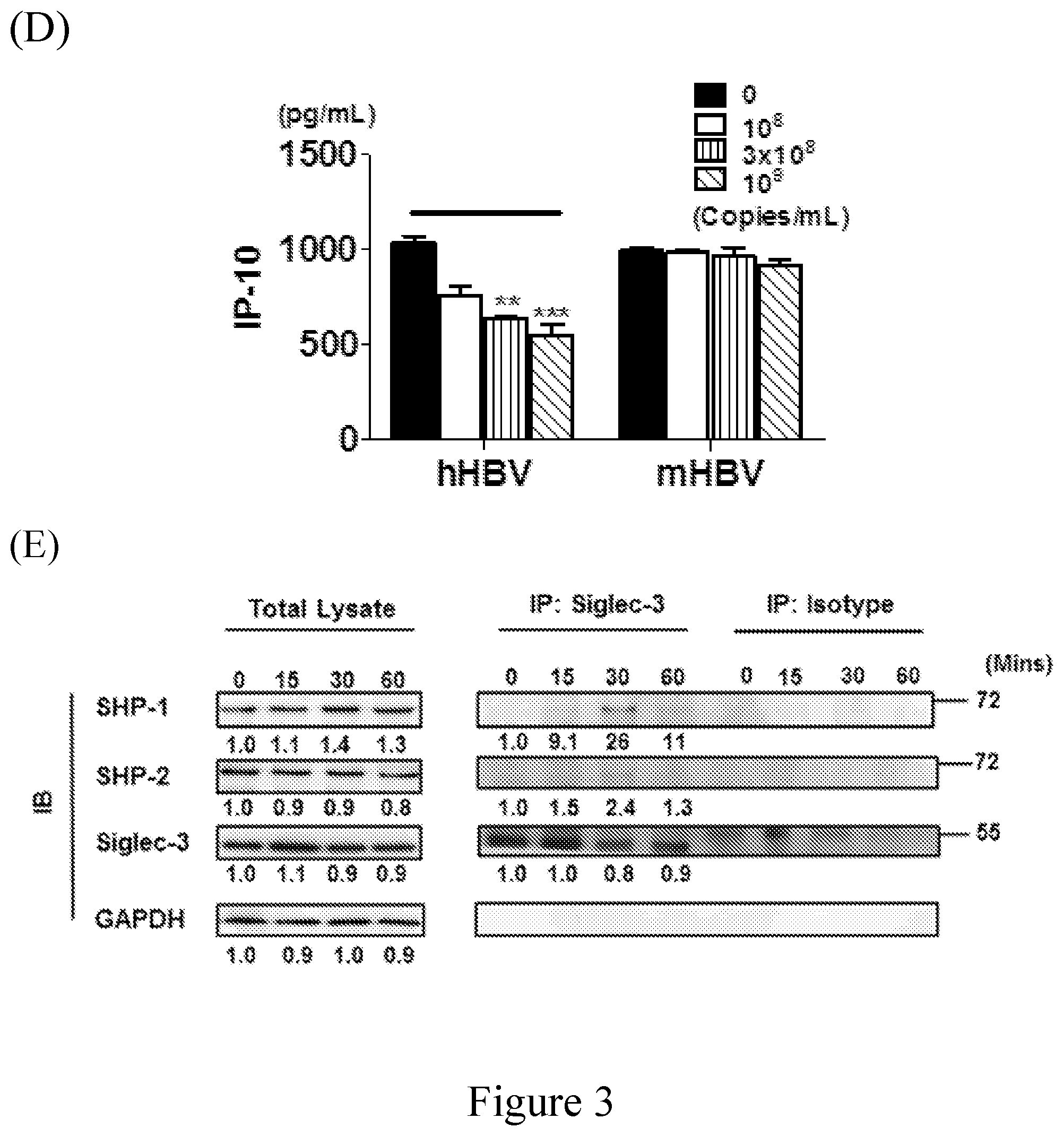 Patent US12103969 Figure 7 – Anti-Siglec antibody, pharmaceutical composition comprising the same, and uses thereof