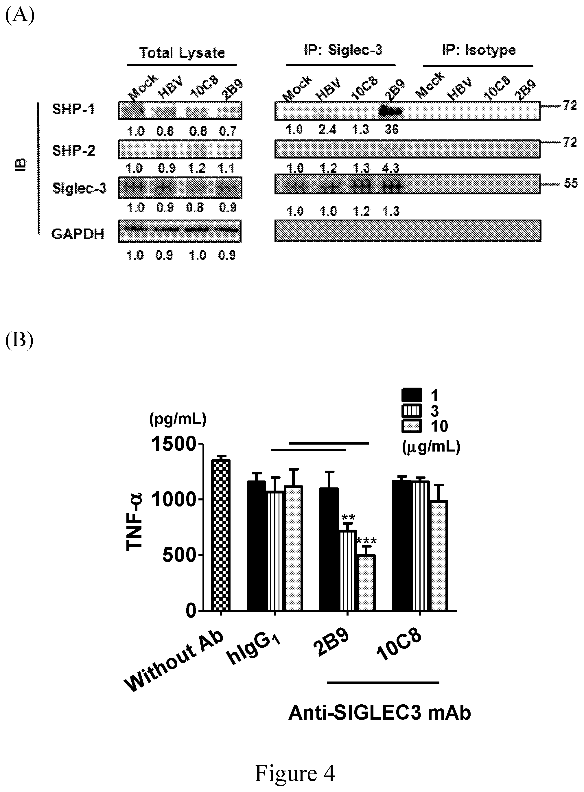 Patent US12103969 Figure 9 – Anti-Siglec antibody, pharmaceutical composition comprising the same, and uses thereof