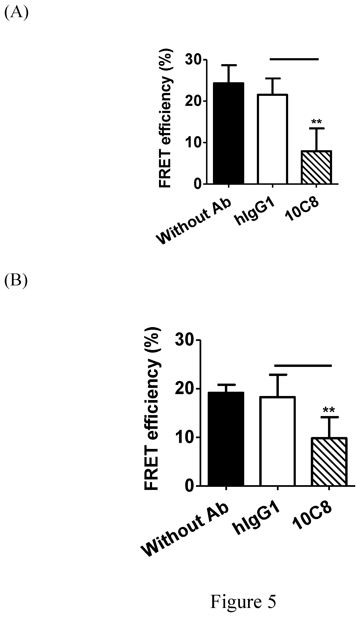 Patent US12103969 Figure 10 – Anti-Siglec antibody, pharmaceutical composition comprising the same, and uses thereof