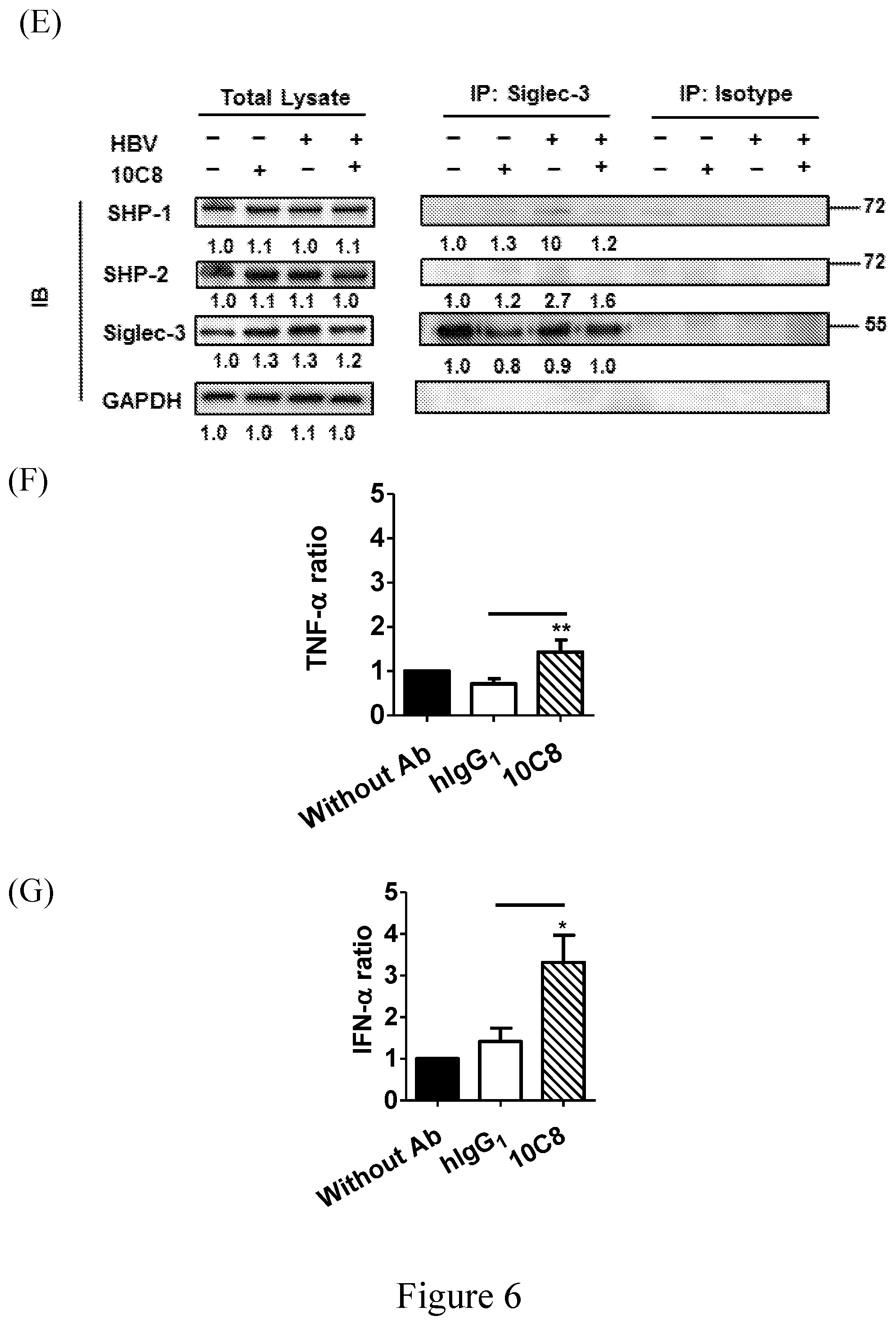 Patent US12103969 Figure 13 – Anti-Siglec antibody, pharmaceutical composition comprising the same, and uses thereof