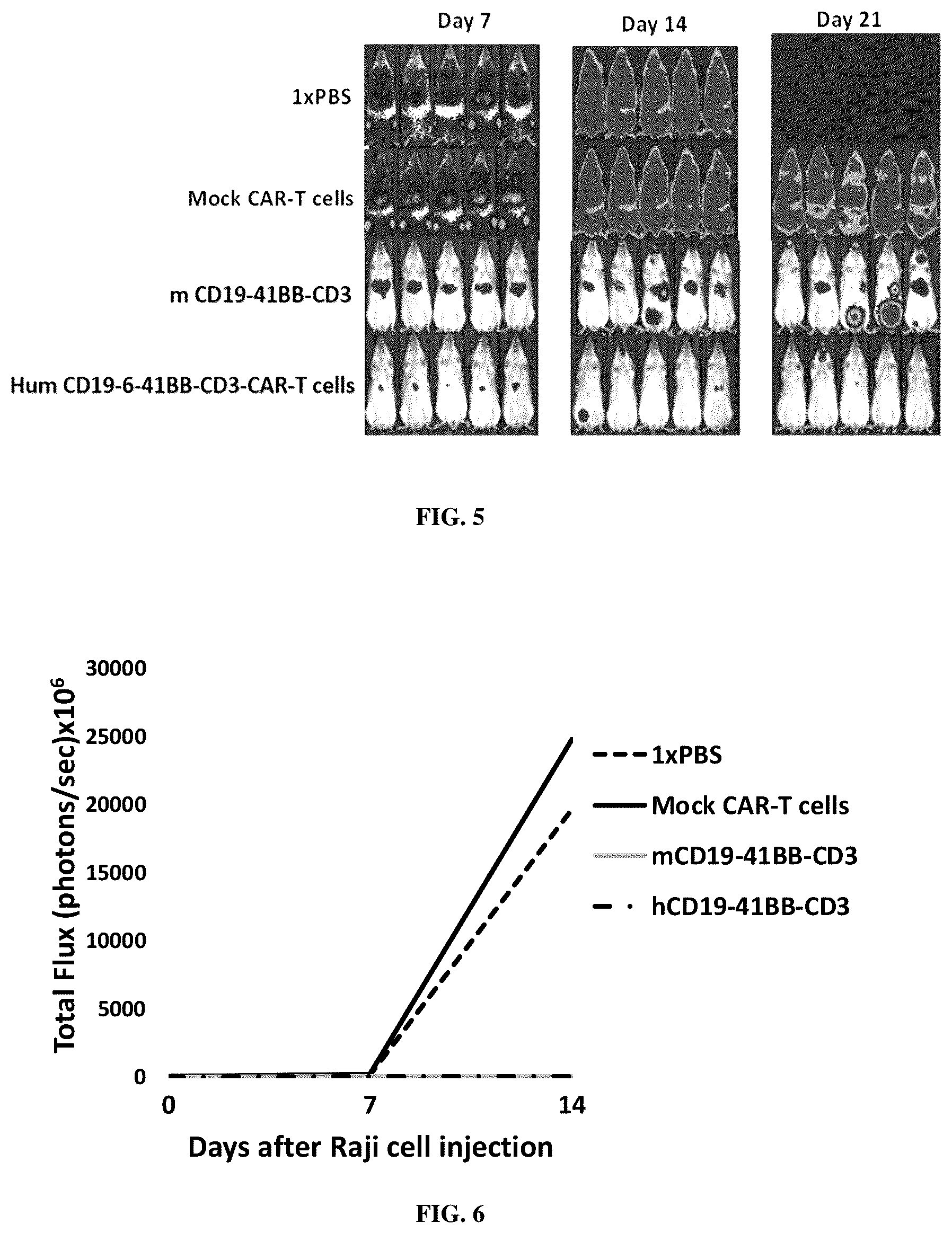 Patent US12103970 Figure 3 – CAR-T cells with humanized CD19 ScFv