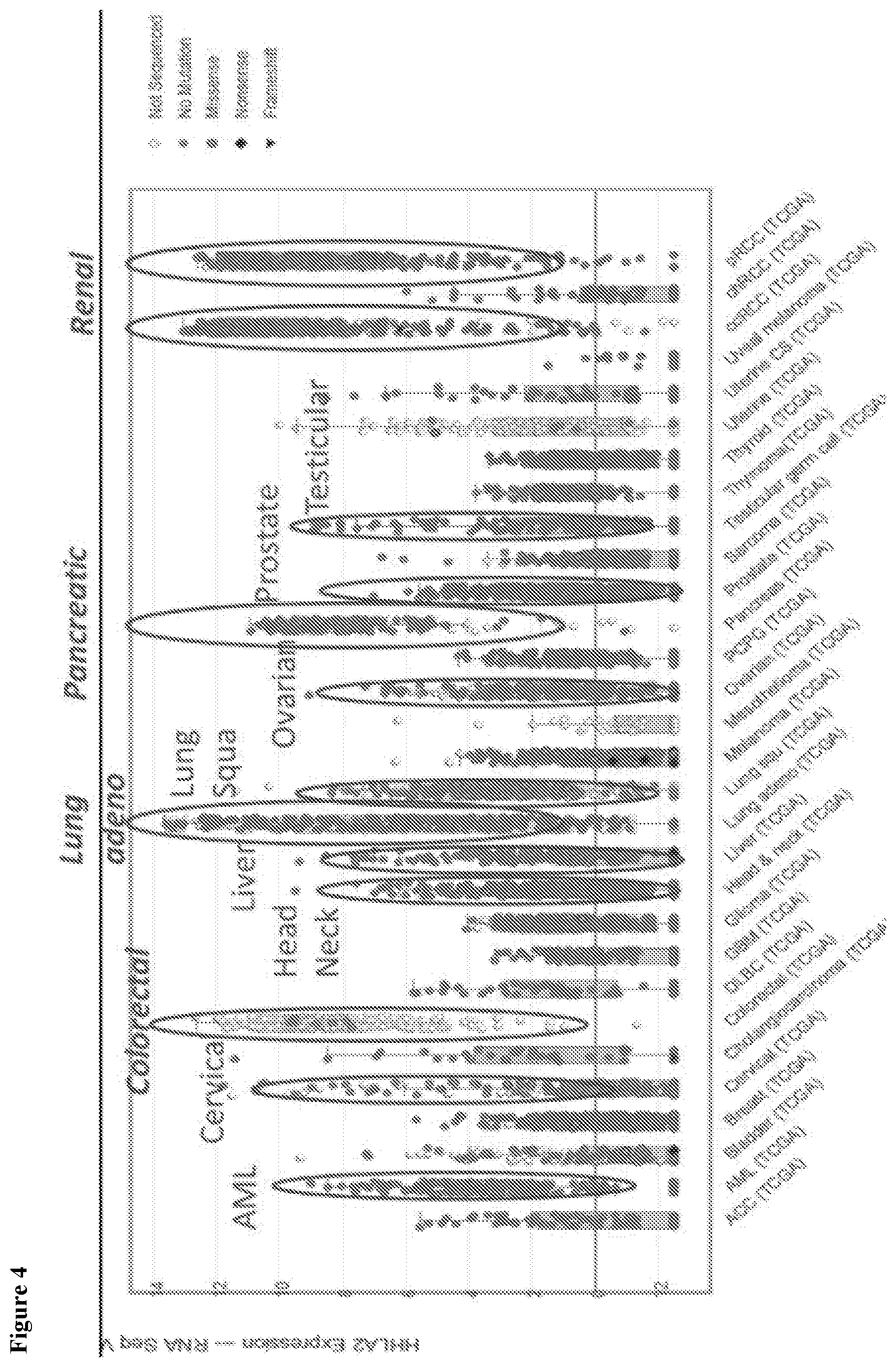 Patent US12103972 Figure 4 – KIR3DL3 as an HHLA2 receptor, anti-HHLA2 antibodies, and uses thereof