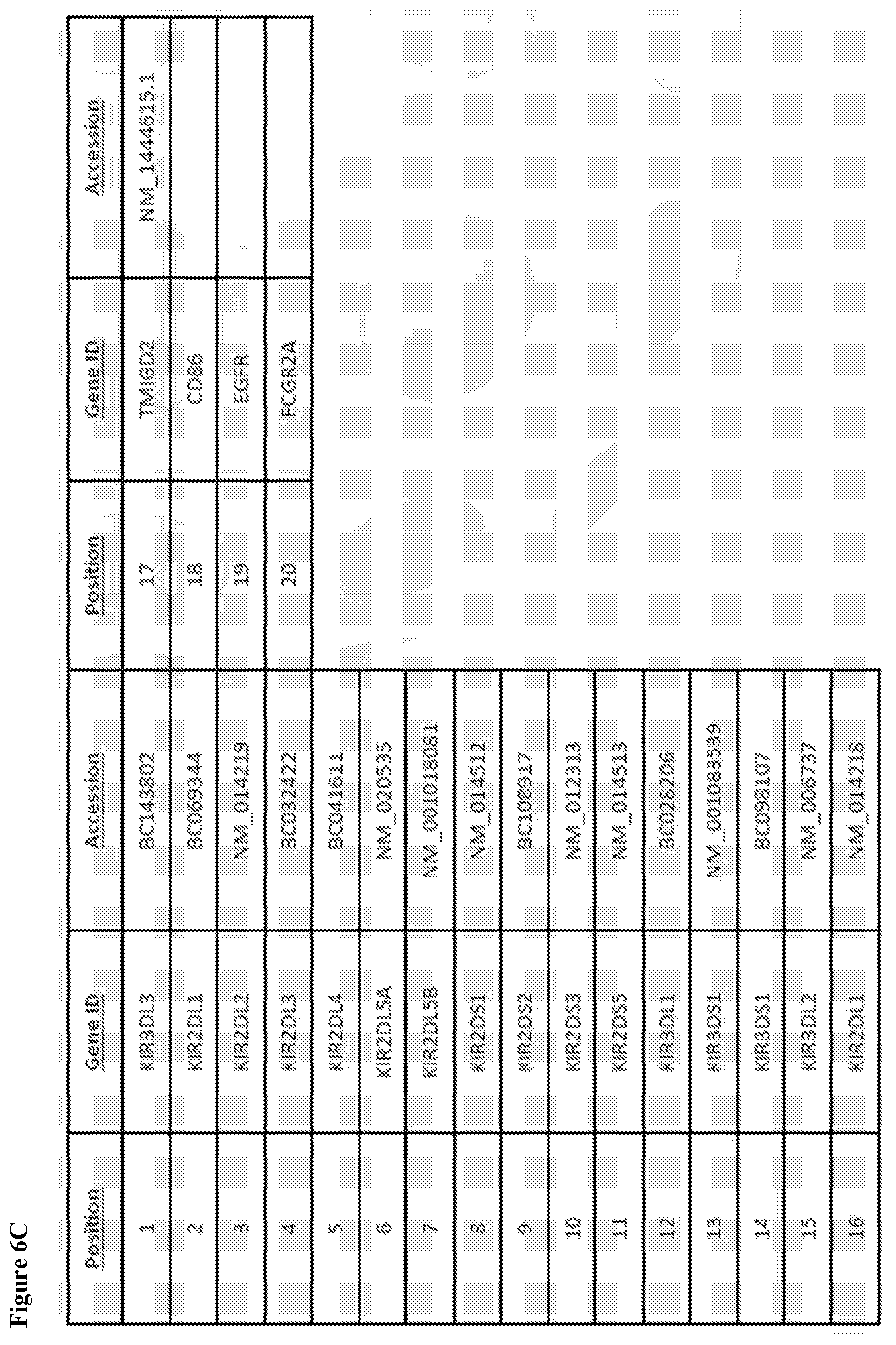 Patent US12103972 Figure 8 – KIR3DL3 as an HHLA2 receptor, anti-HHLA2 antibodies, and uses thereof
