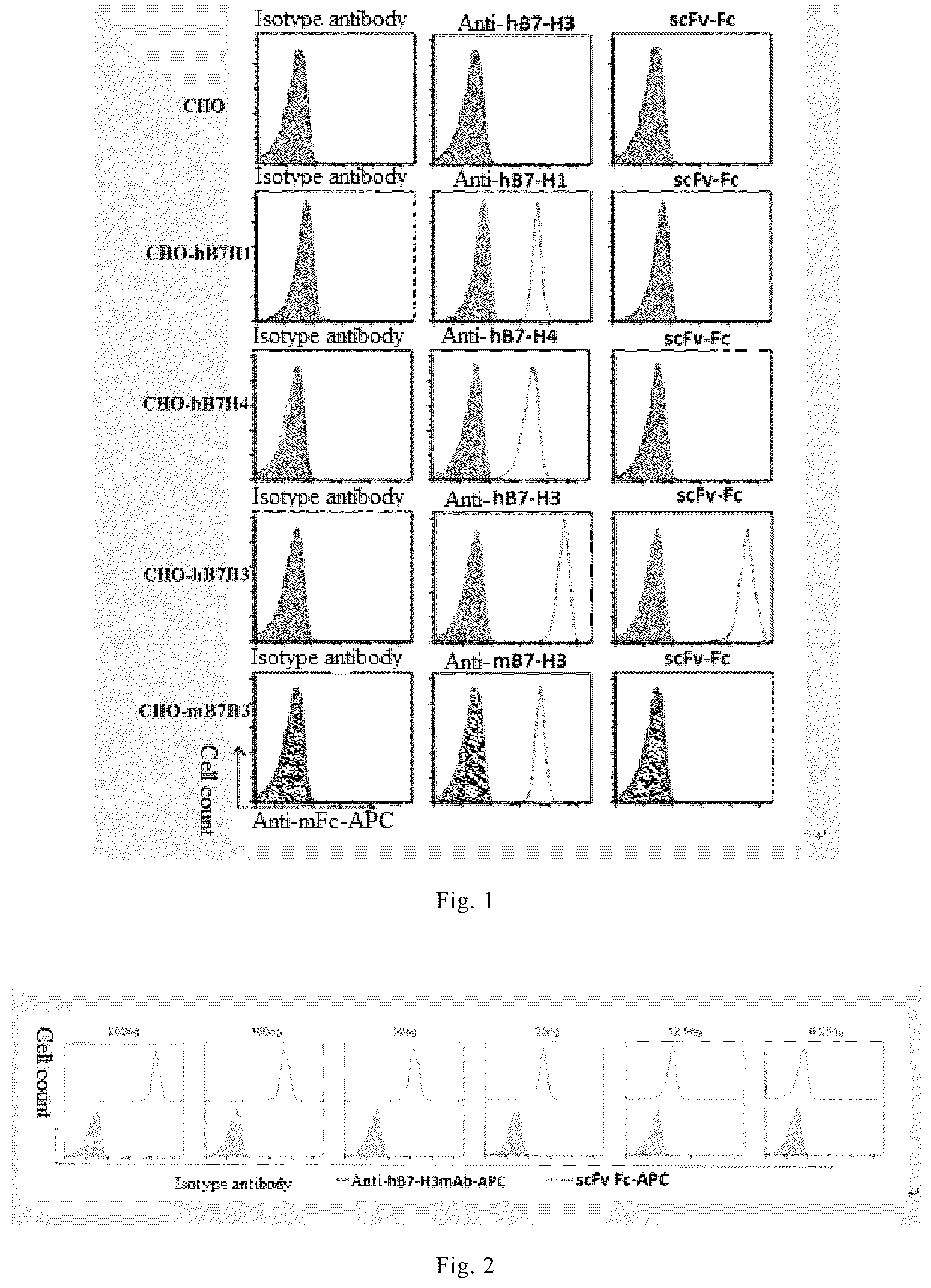Patent US12103973 — Anti-B7-H3 monoclonal antibody and use thereof in cell therapy — Figure 1